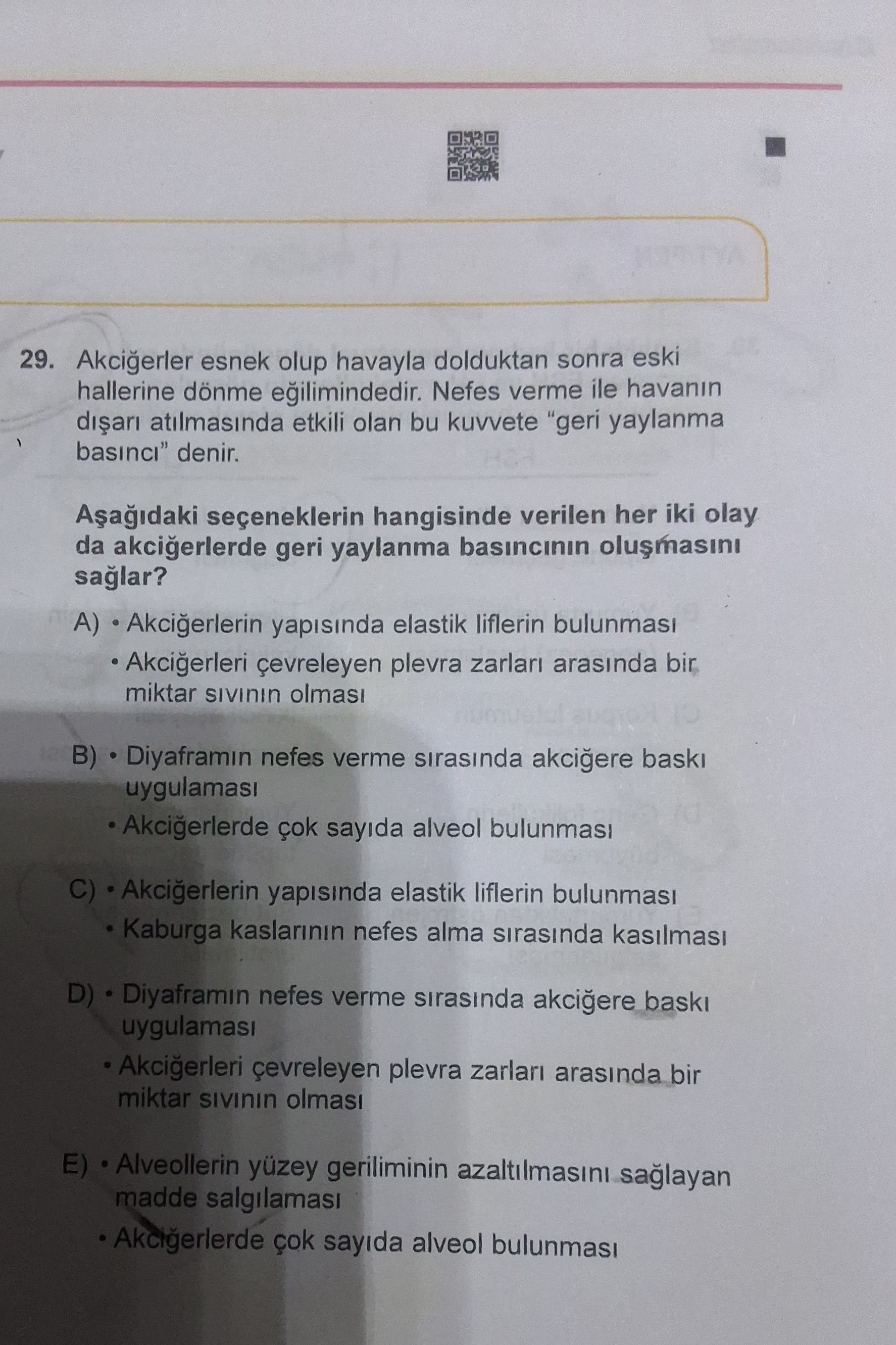 Akciğerler esnek olup havayla dolduktan sonra eski hallerine dönme eğilimindedir. Nefes verme ile