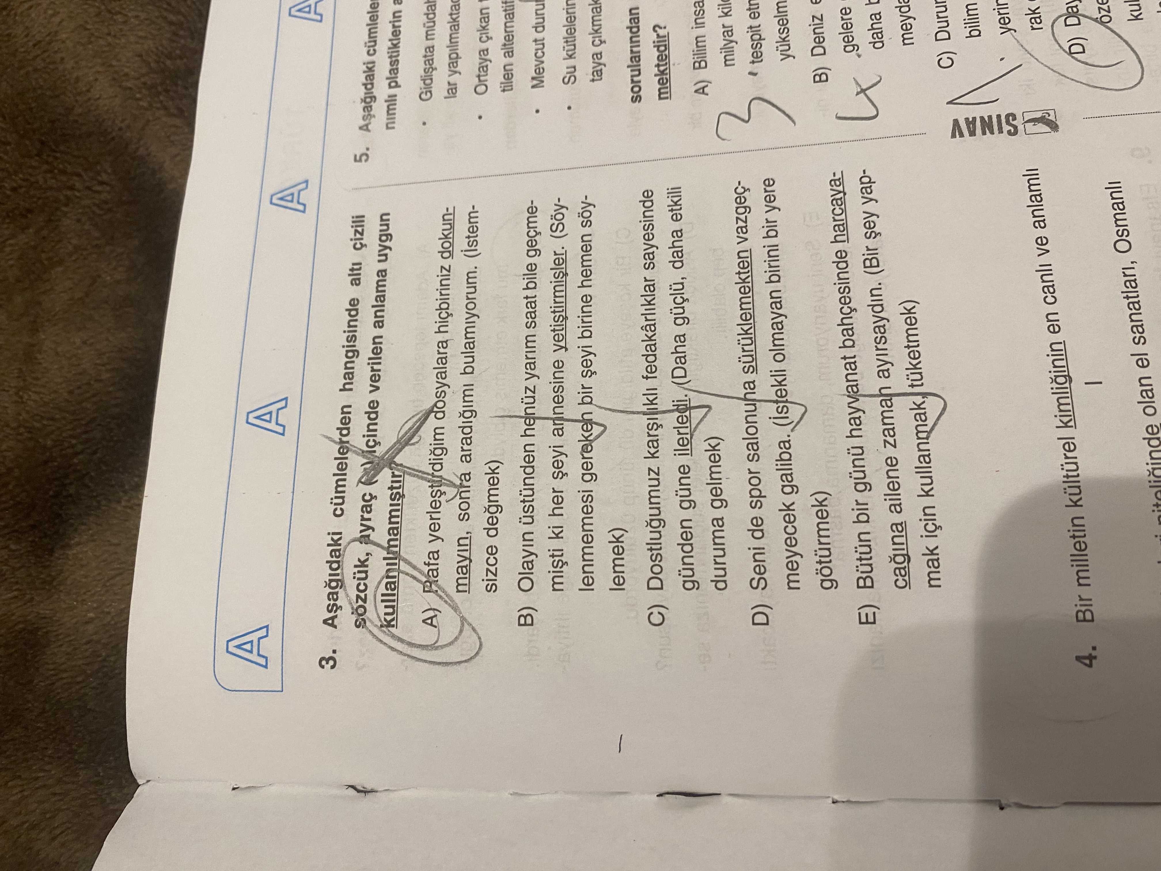 Türk Dili ve Edebiyatı  (10. Sınıf)