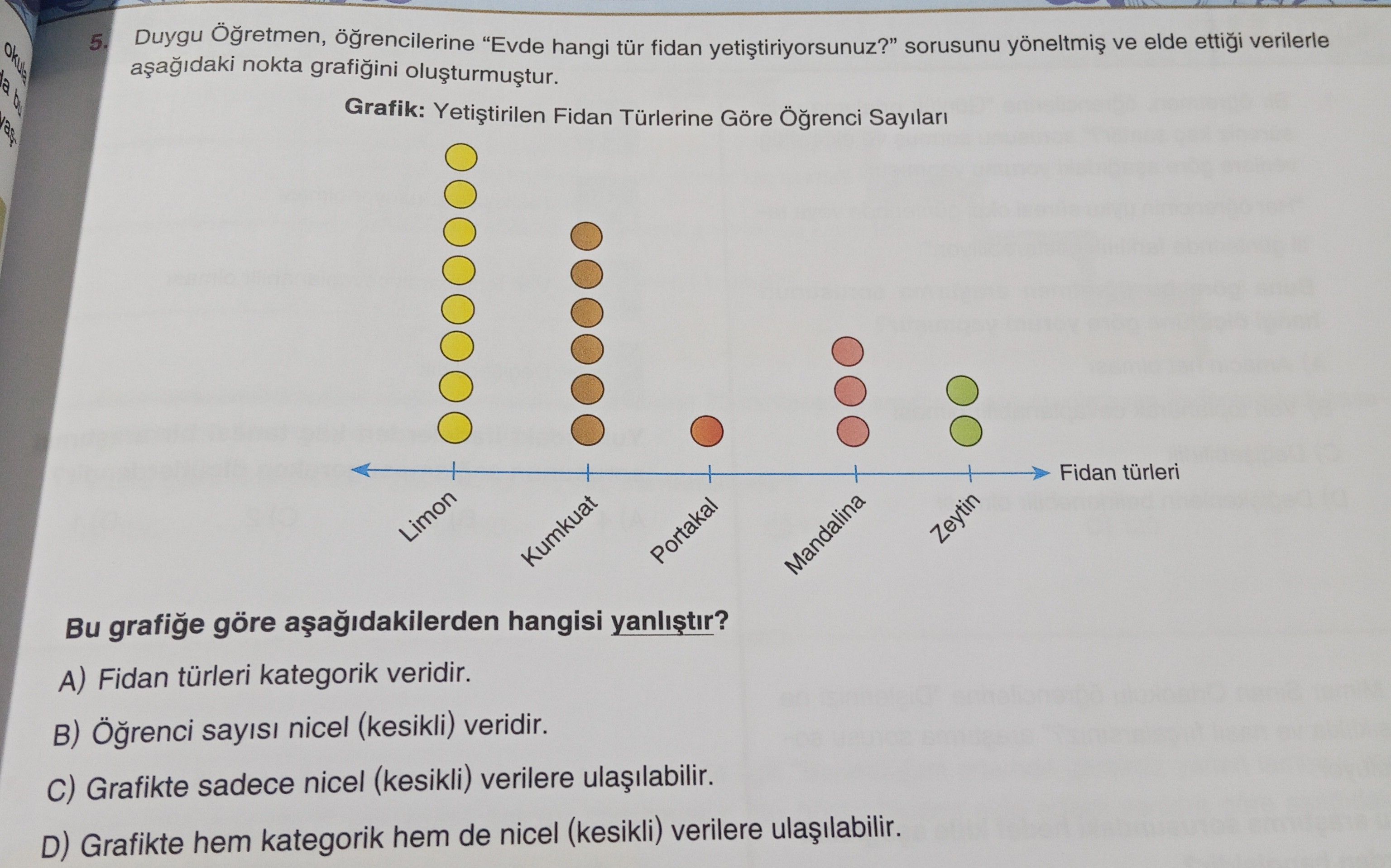 Duygu Öğretmen, öğrencilerine "Evde hangi tür fidan yetiştiriyorsunuz?" sorusunu yöneltmiş ve elde