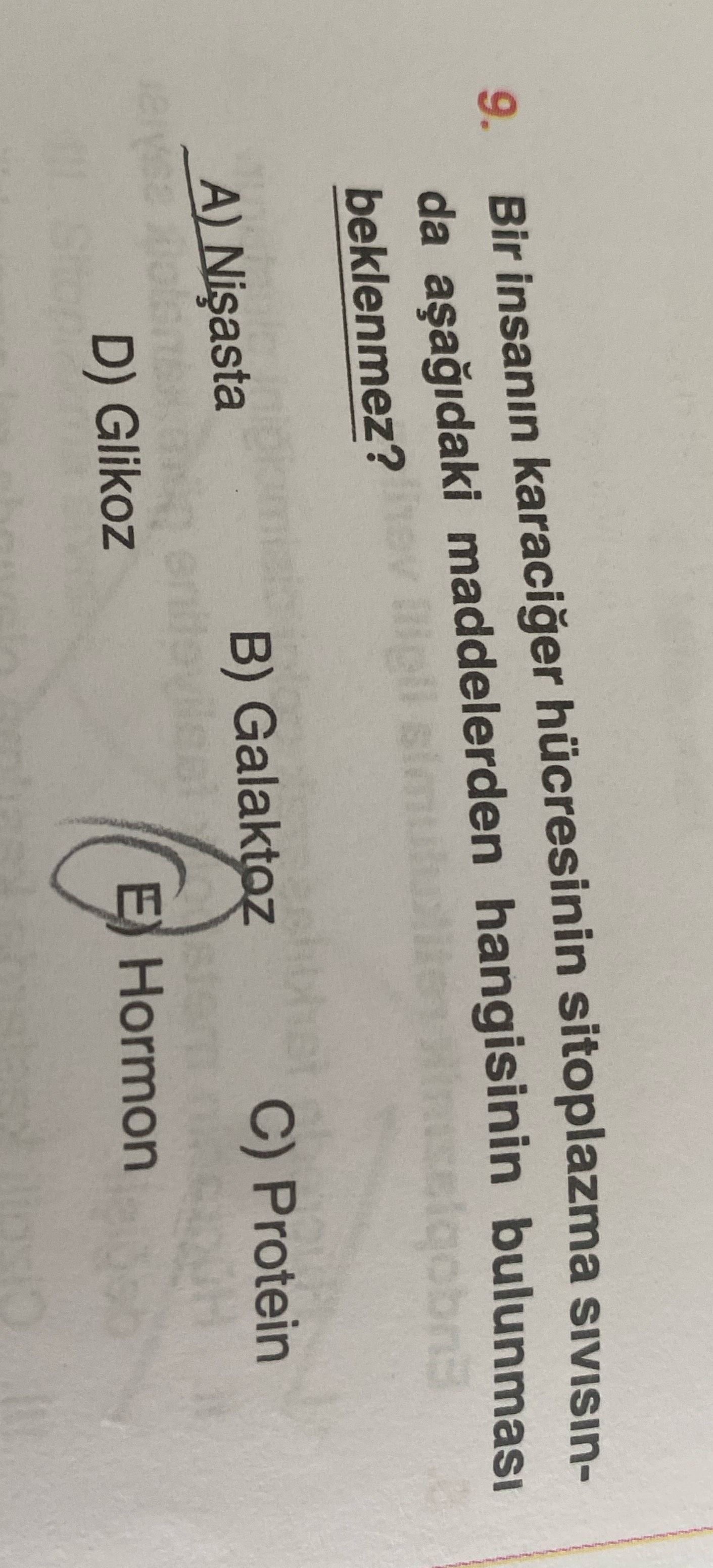 Biyoloji (12. Sınıf)