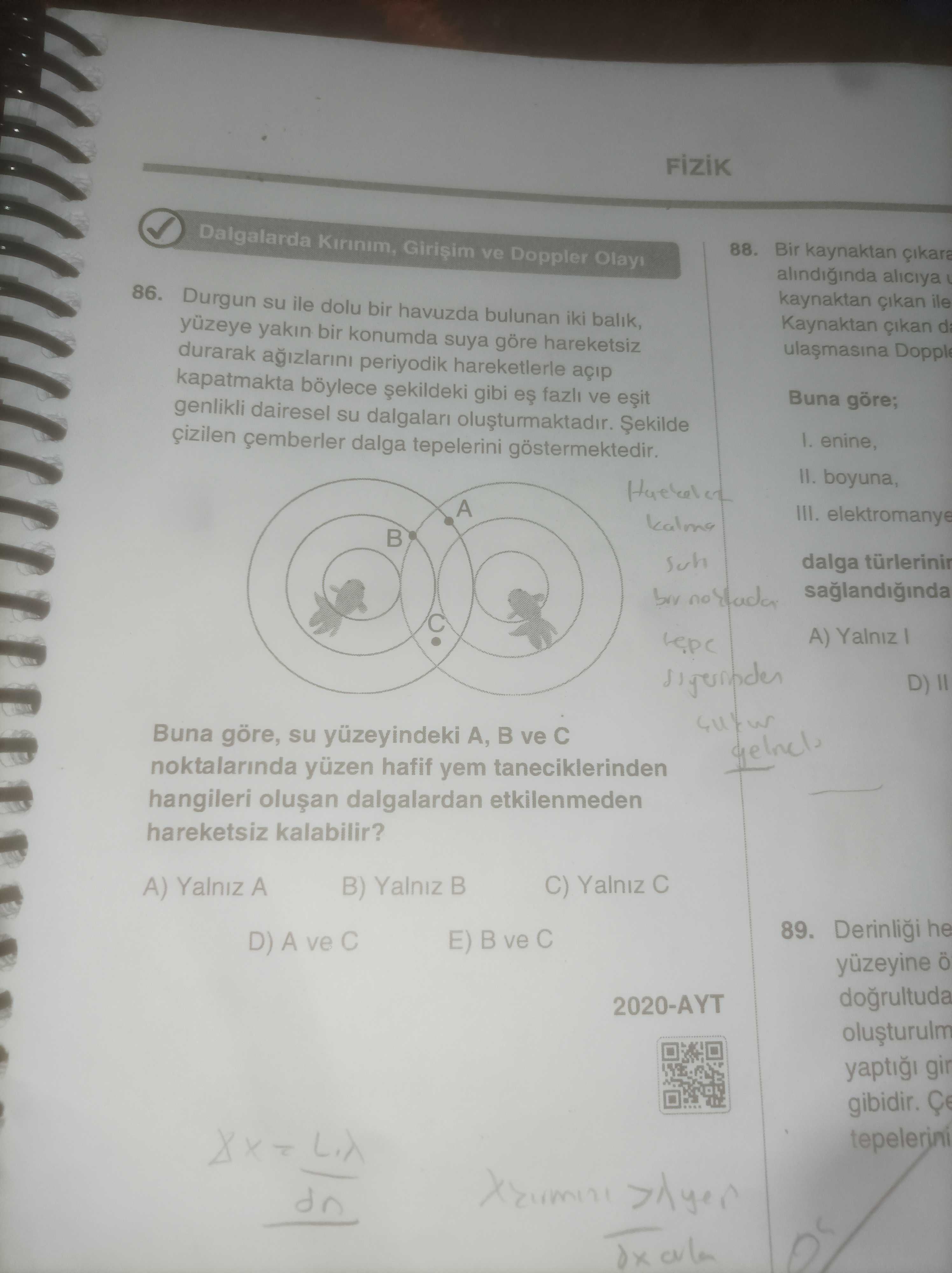 Durgun su ile dolu bir havuzda bulunan iki balık, yüzeye yakın bir konumda suya göre hareketsiz
