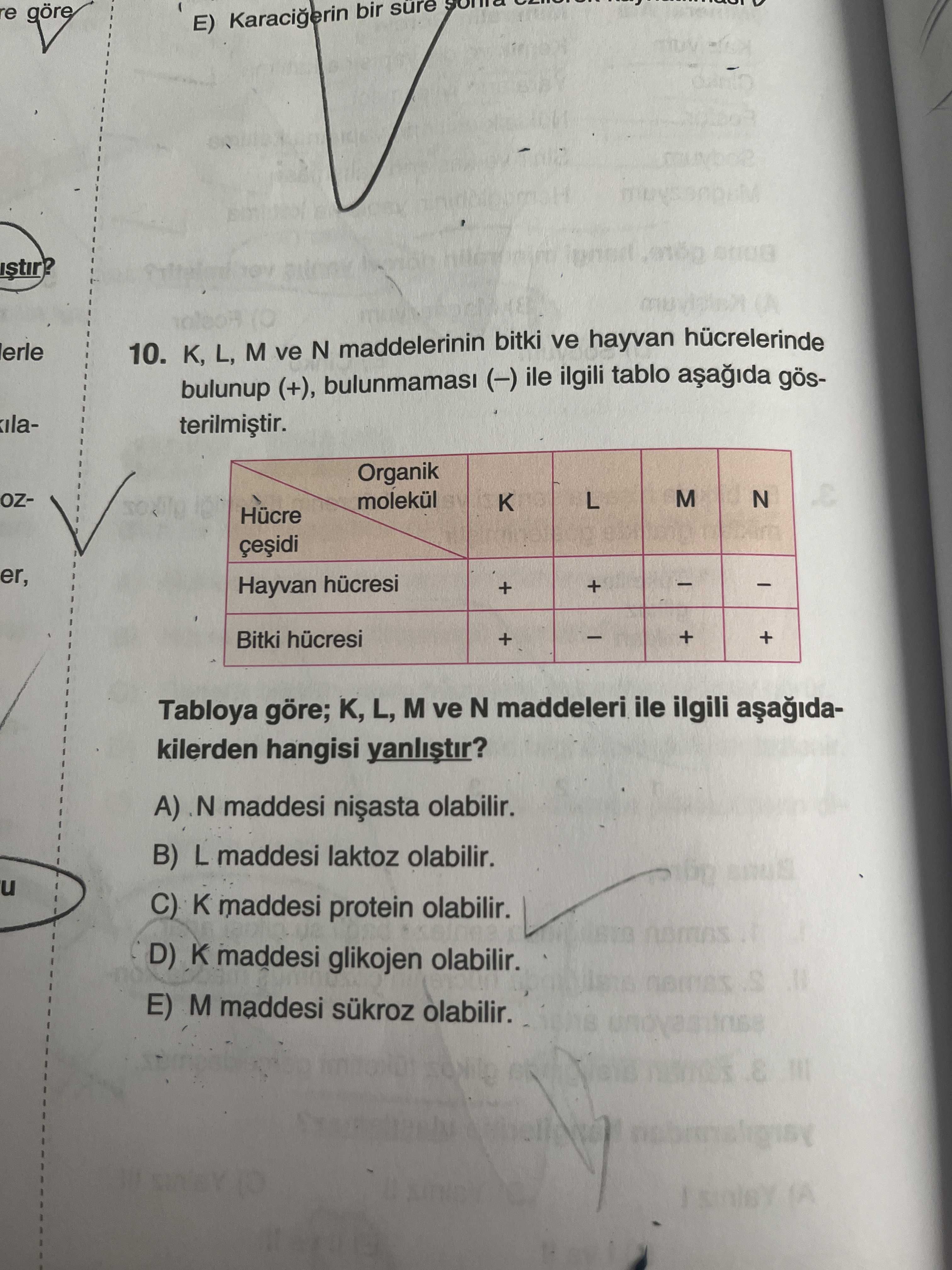 Biyoloji (11. Sınıf)