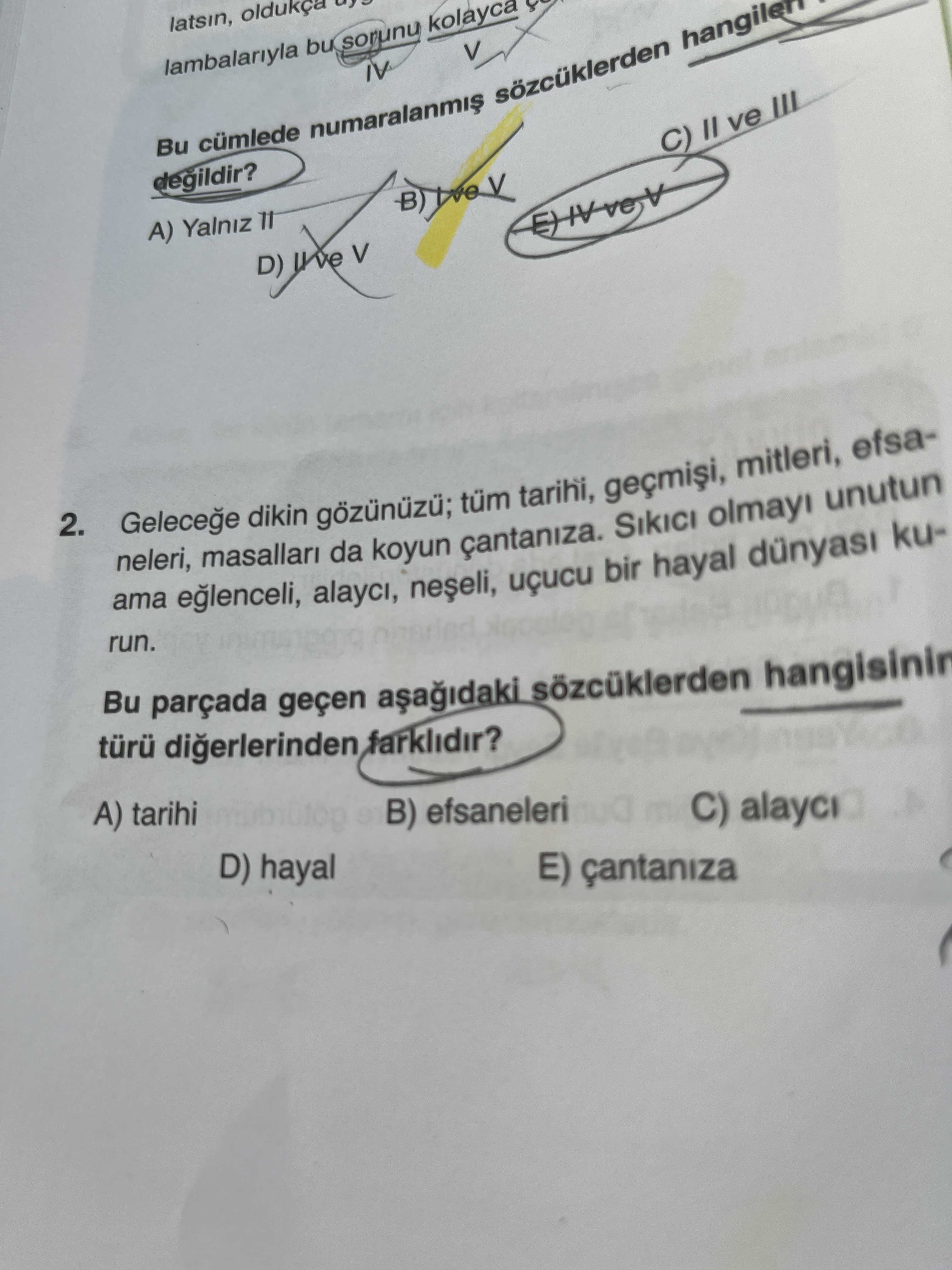 Türkçe (12. Sınıf)