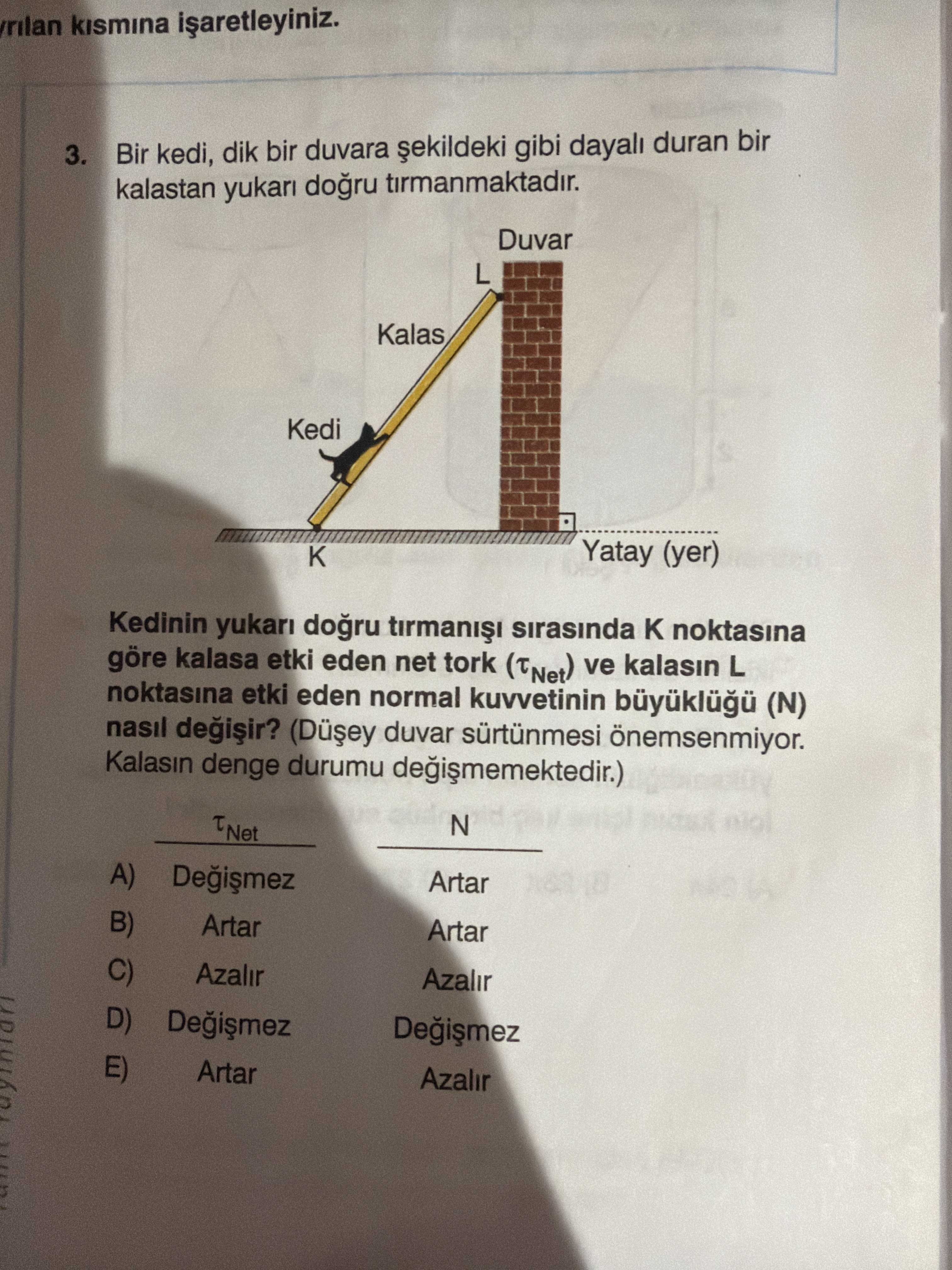 Bir kedi, dik bir duvara şekildeki gibi dayalı duran bir kalastan yukarı doğru tırmanmaktadır