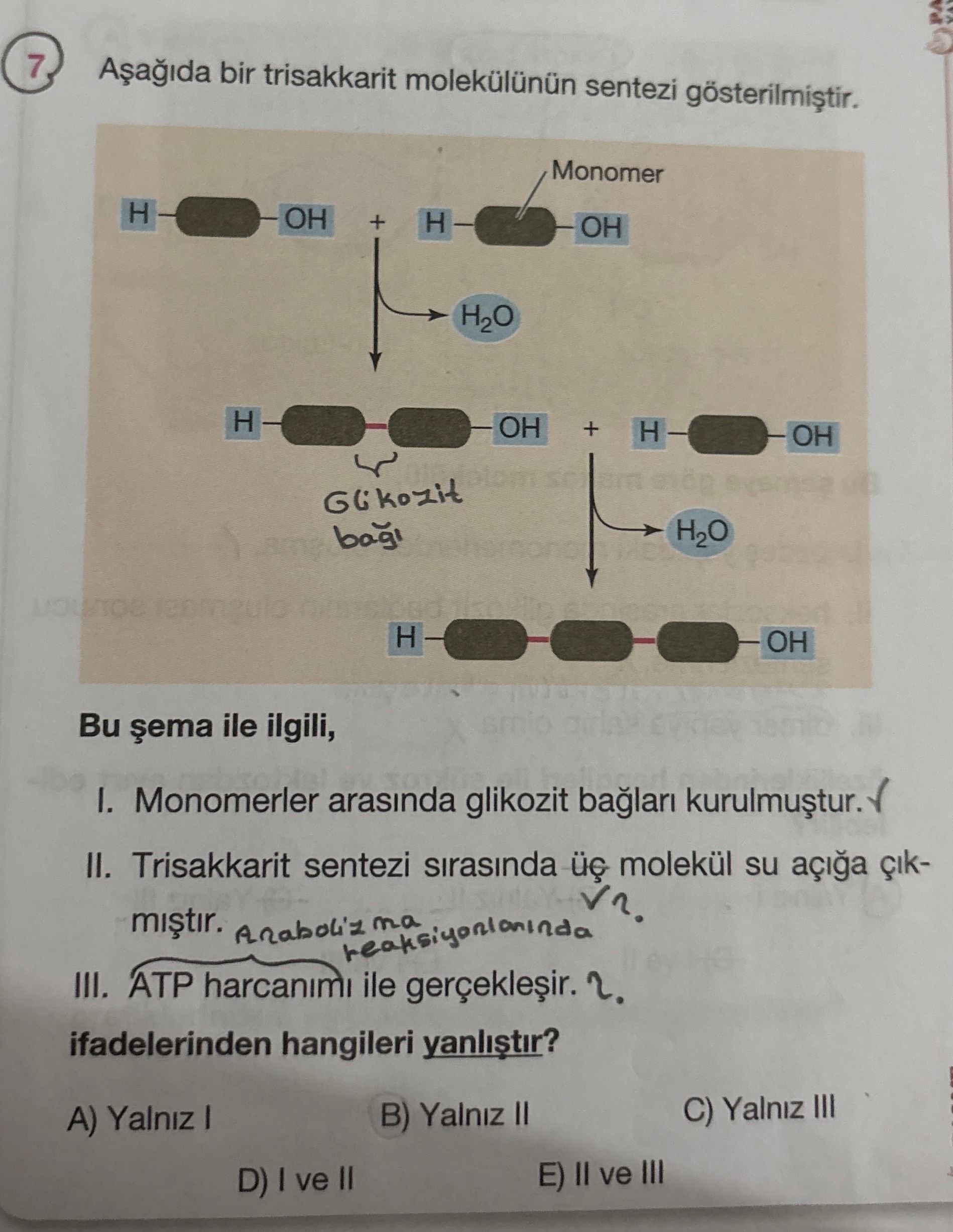 Aşağıda bir trisakkarit molekülünün sentezi gösterilmiştir. [Görselde bir şema bulunuyor - Monomer
