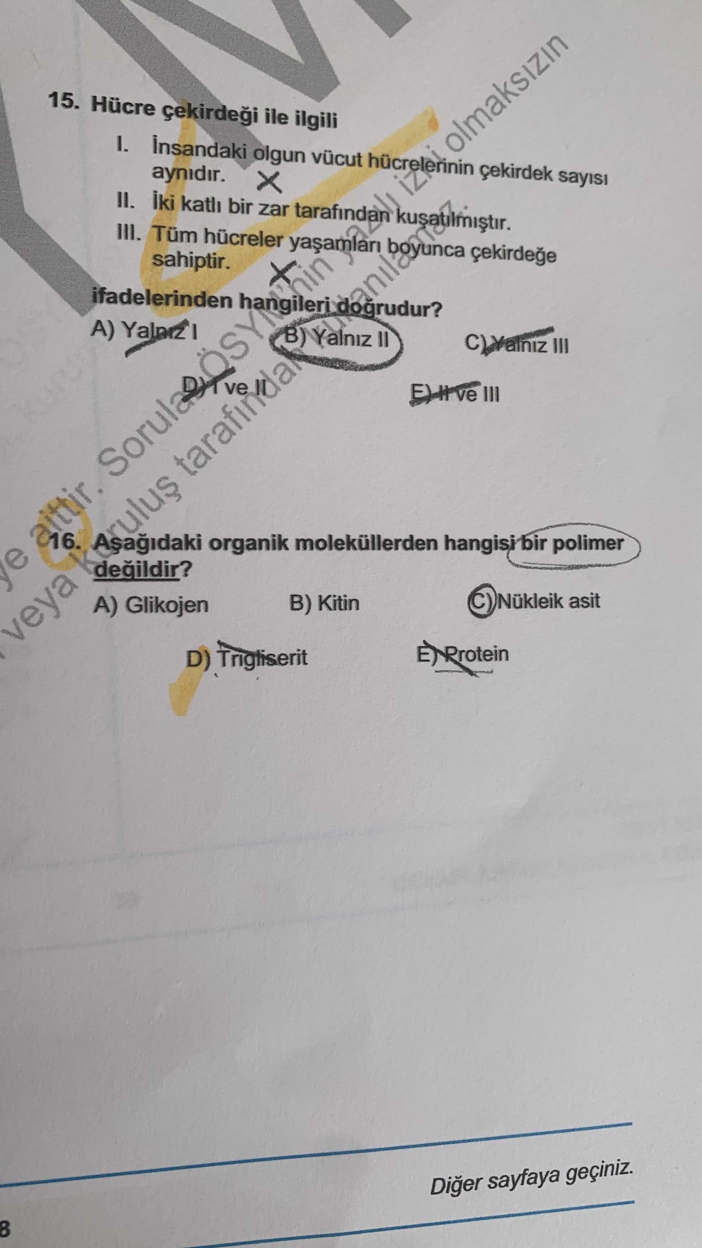 Hücre çekirdeği ile ilgili I. İnsandaki olgun vücut hücrelerinin çekirdek sayısı aynıdır. II. İki