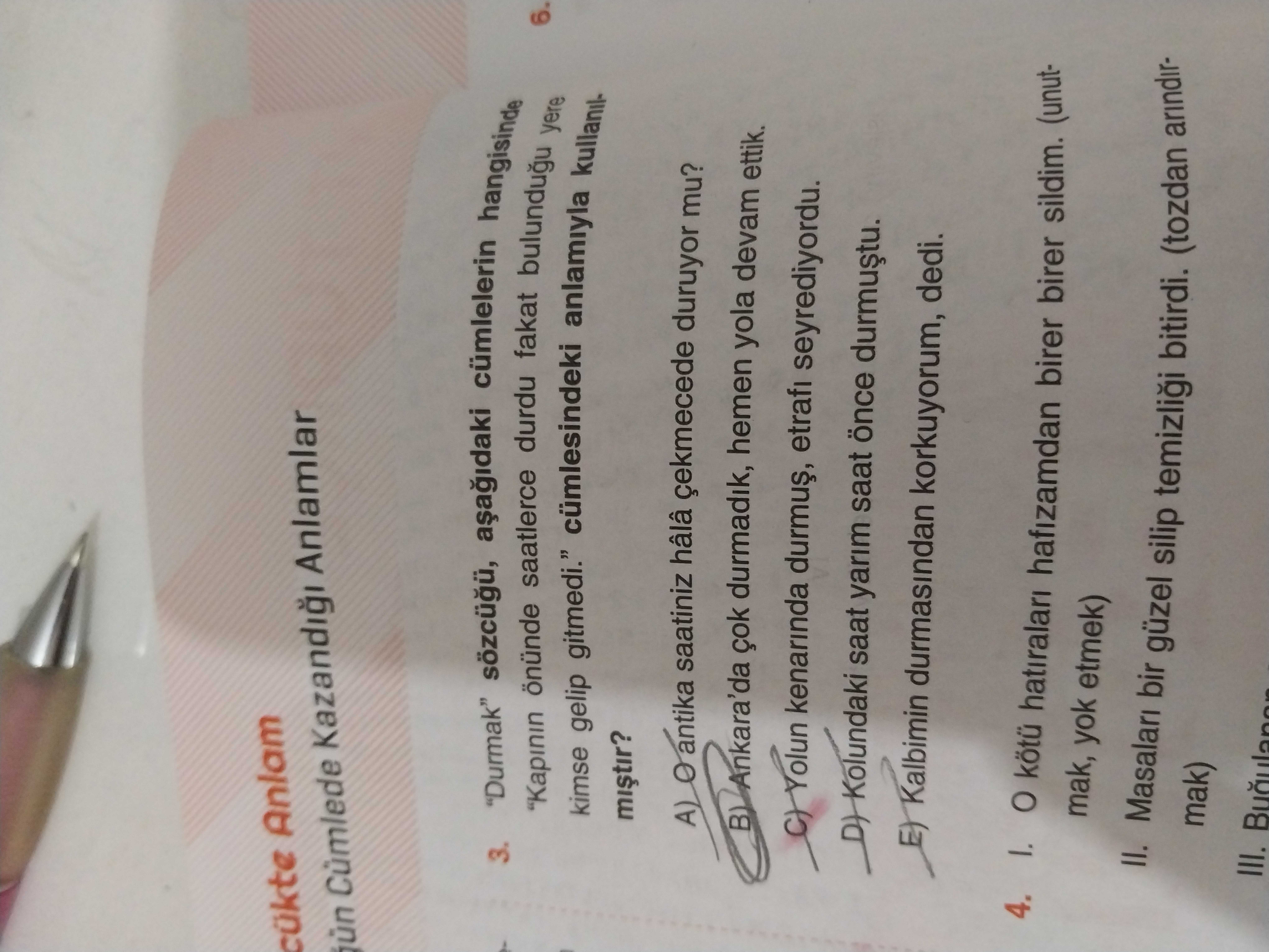Türkçe (12. Sınıf)