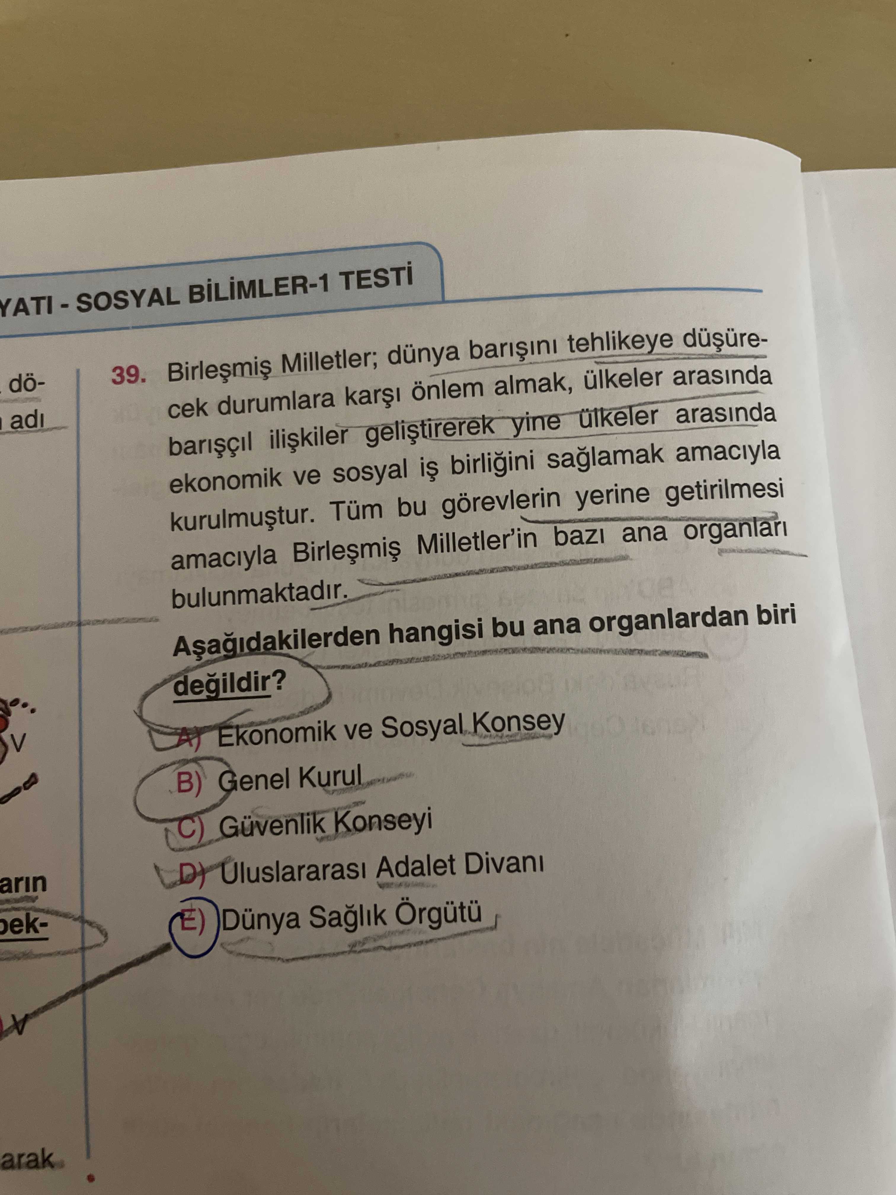 Birleşmiş Milletler; dünya barışını tehlikeye düşürecek durumlara karşı önlem almak, ülkeler