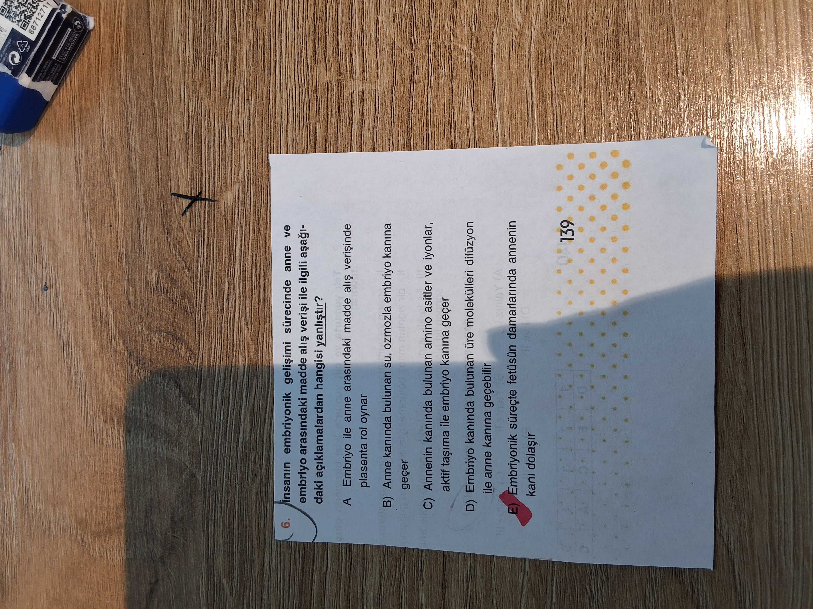 İnsanın embriyonik gelişimi sürecinde anne ve bebeğinde alt verisi ile ilgili aşağıdakı