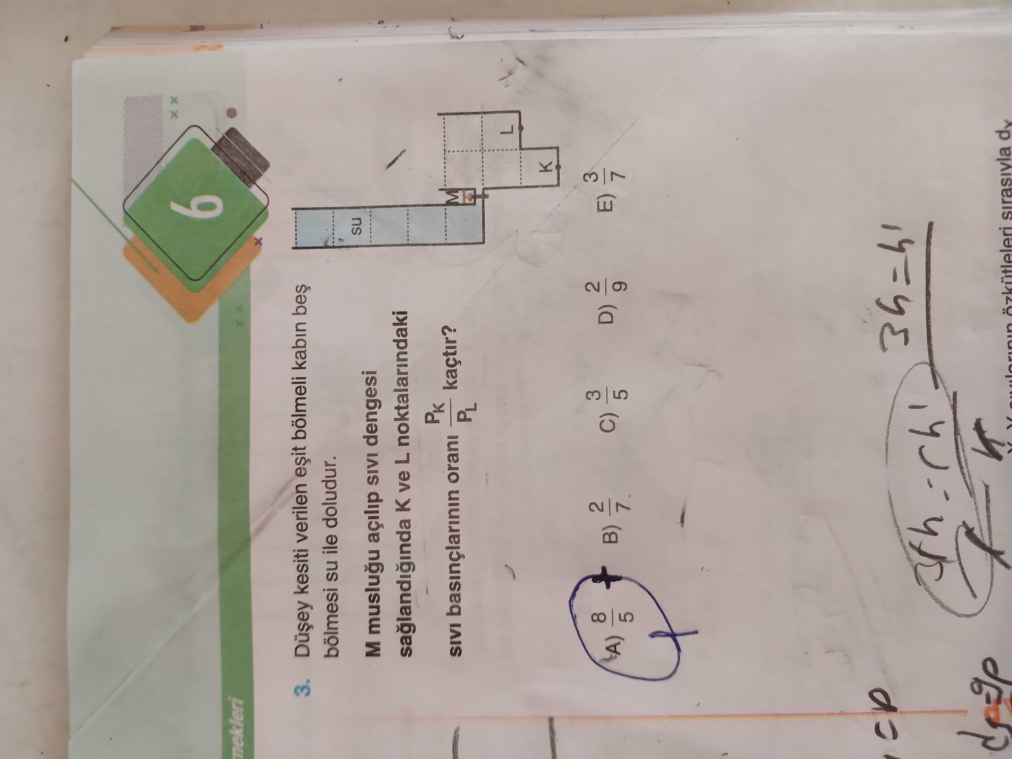 Düşey kesiti verilen eşit bölmeli kabın beş bölmesi su ile doludur. M musluğu açılıp sıvı dengesi