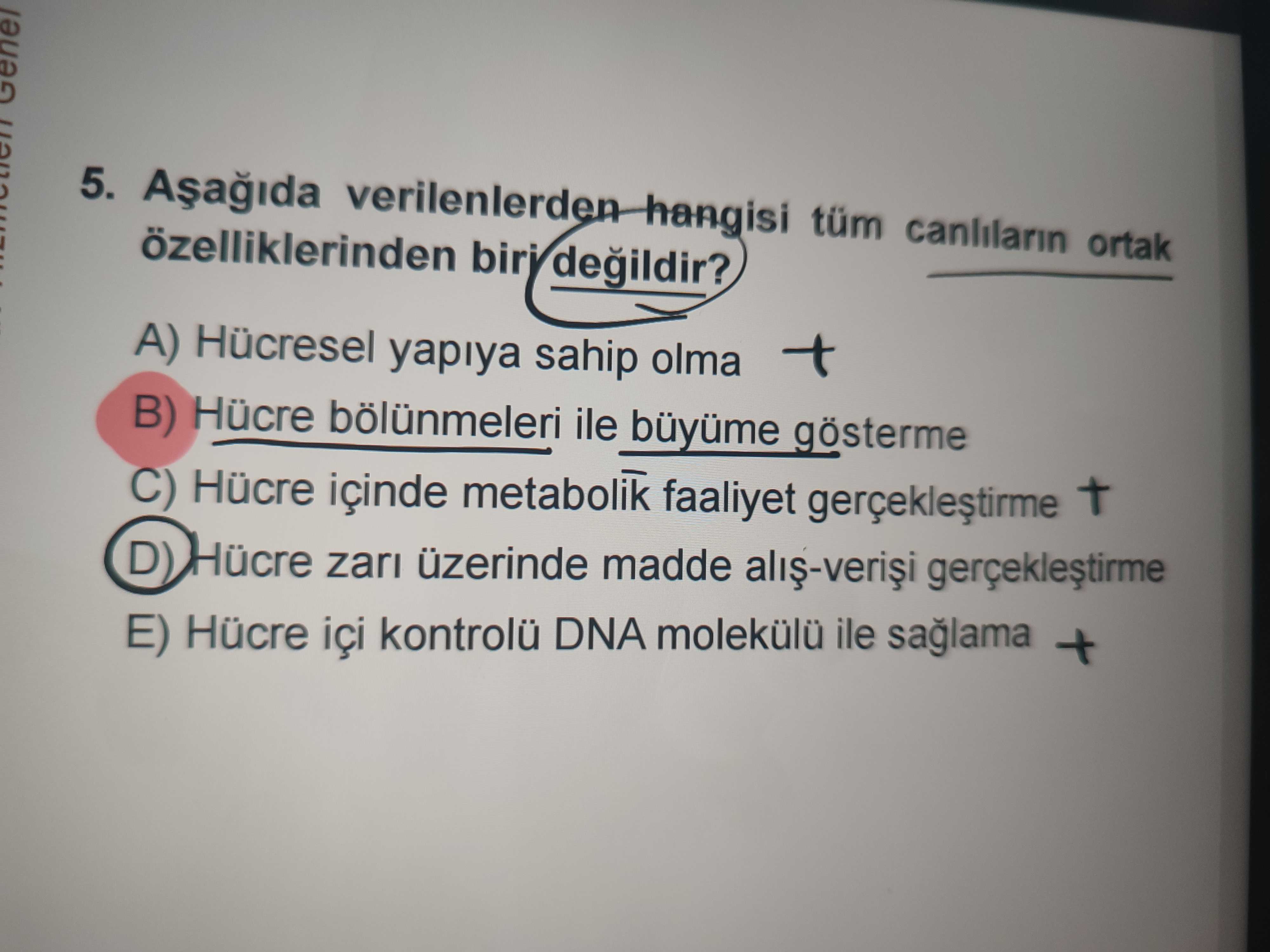 5. tüm canlilarin ortak biri A) Hücresel yapiya sahip olma B) Hücre bölünmeleri ile gösterme C) Hücre içinde metabolik faaliyet D) Hücre zari üzerinde madde E) Hücre içi kontrolü DNA molekülü ile + 5. tüm canlilarin ortak biri A) Hücresel yapiya sahip olma B) Hücre bölünmeleri ile gösterme C) Hücre içinde metabolik faaliyet D) Hücre zari üzerinde madde E) Hücre içi kontrolü DNA molekülü ile +. ?? Model.Question.title
