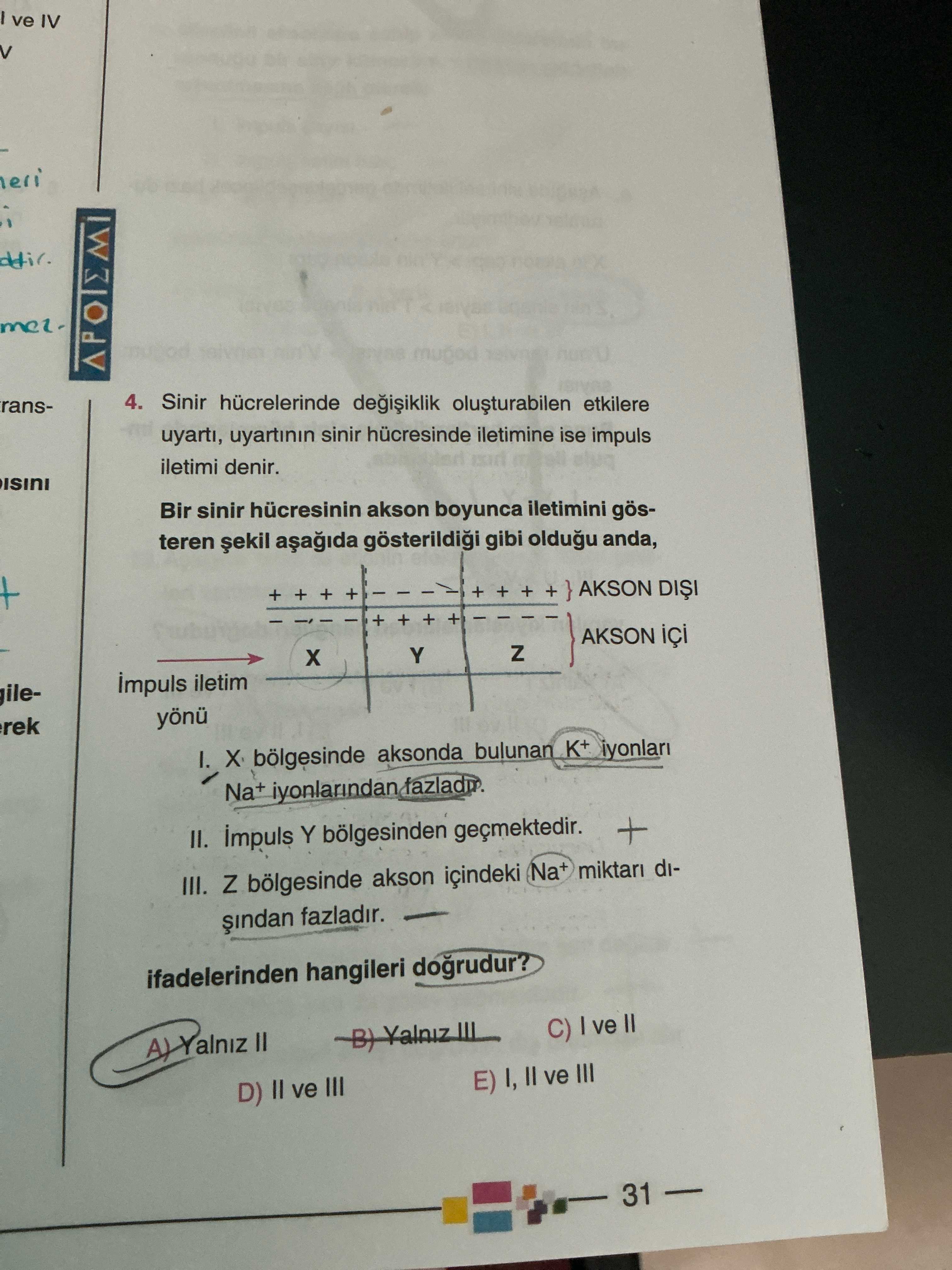 Sinir hücrelerinde değişiklik oluşturabilen etkilere uyartı, uyartının sinir hücresinde iletimine
