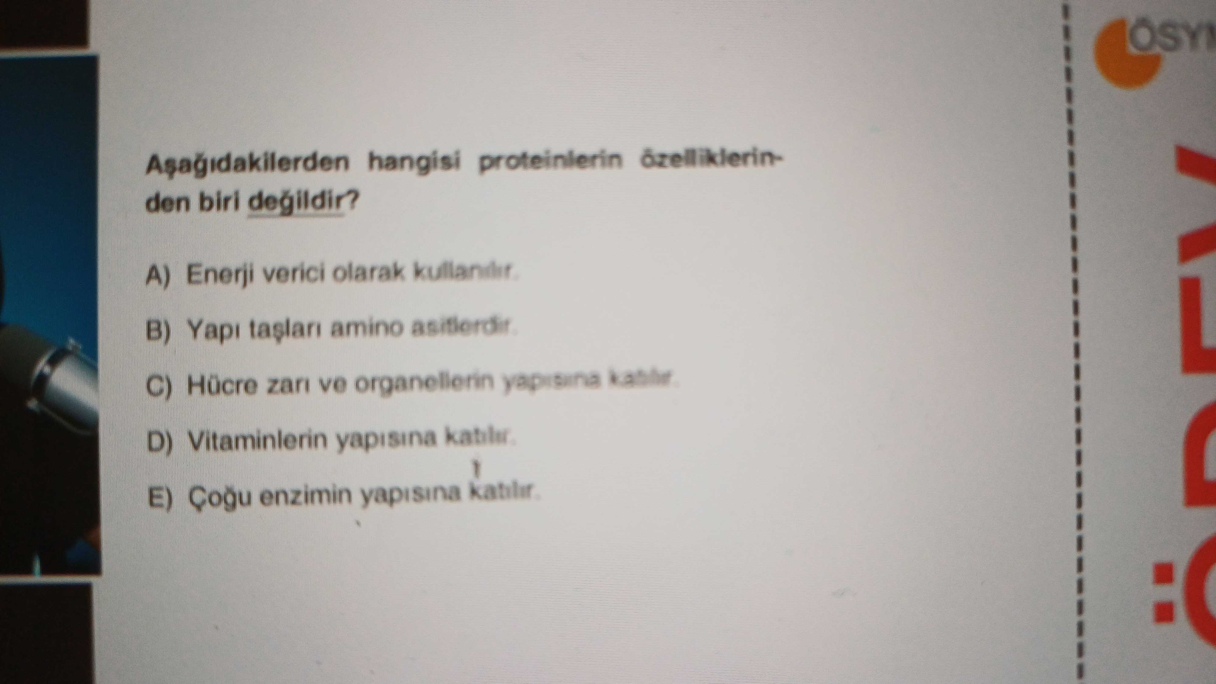 Aşağıdakilerden hangisi proteinlerin özelliklerinden biri değildir?