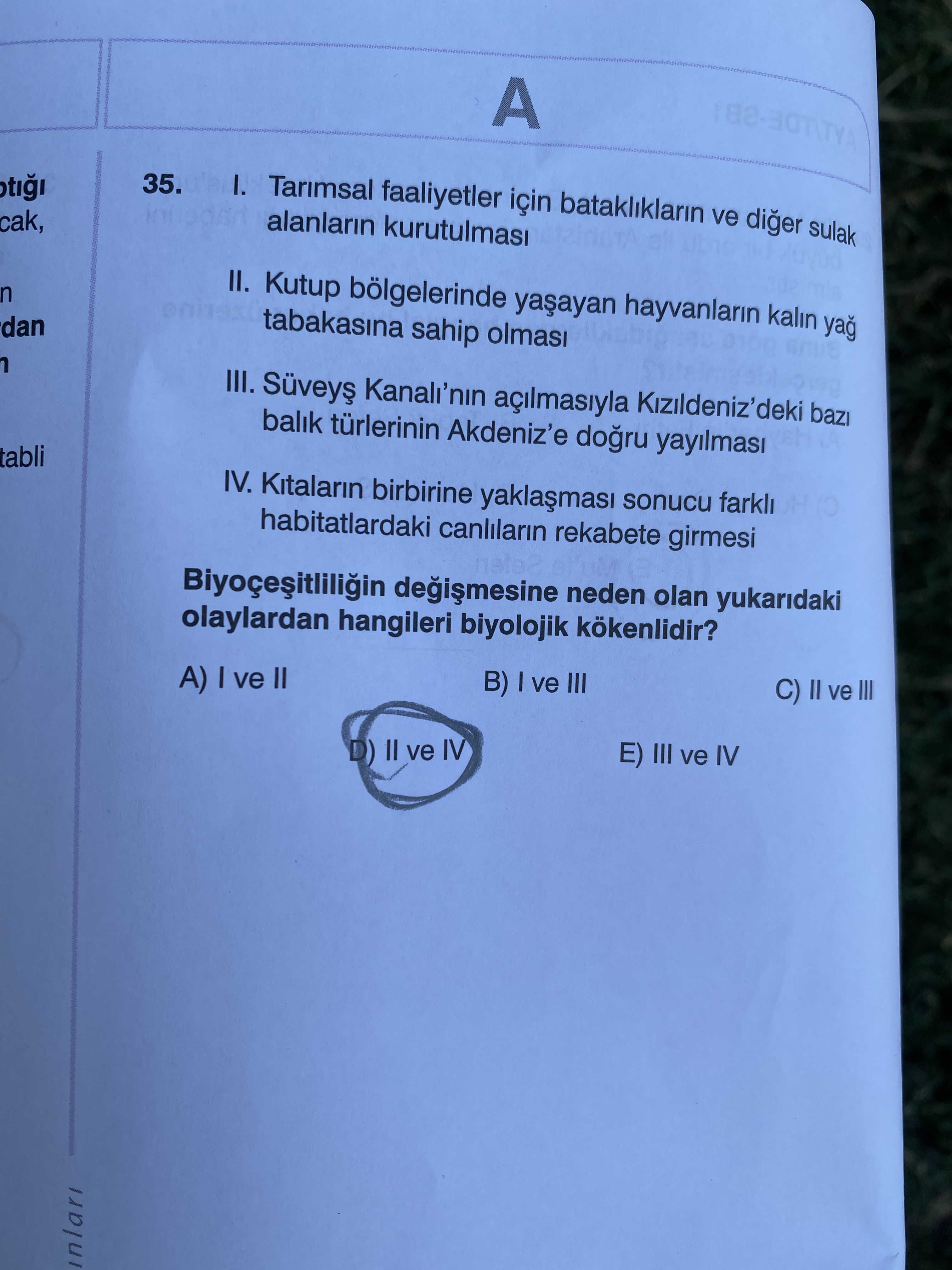 I. Tarımsal faaliyetler için bataklıkların ve diğer sulak alanların kurutulması II. Kutup