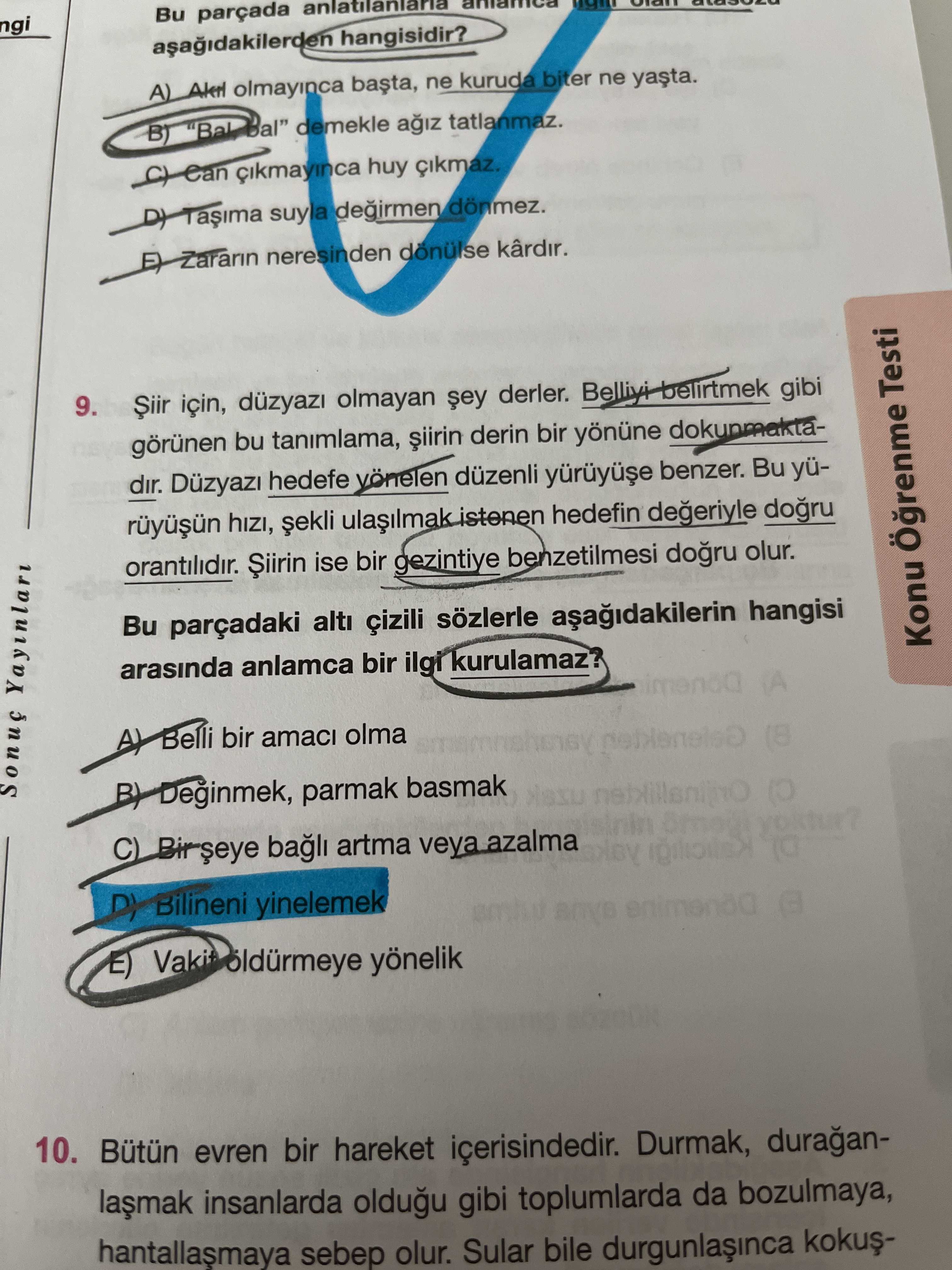 Türkçe (12. Sınıf)