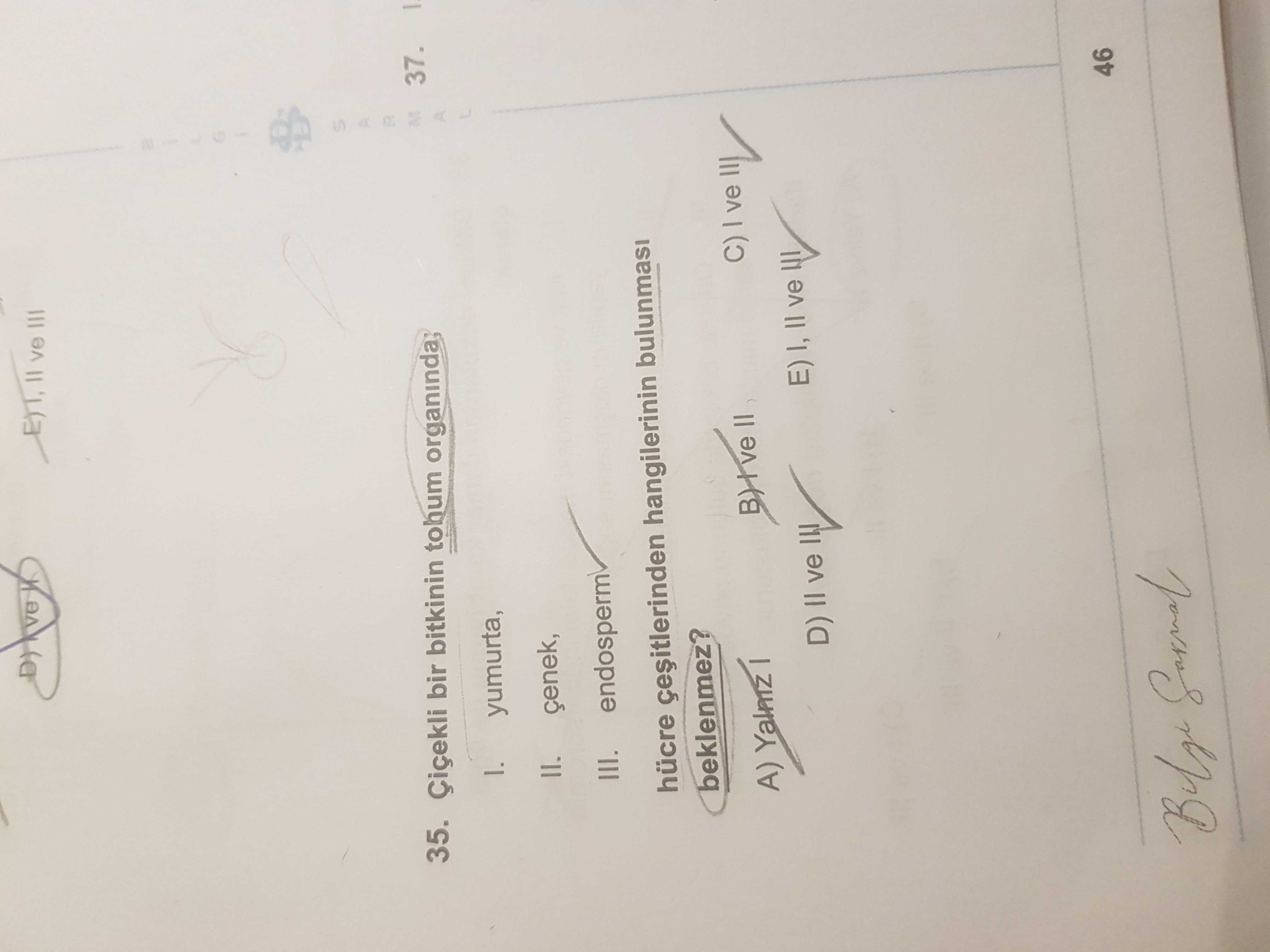Çiçekli bir bitkinin tohum organında; I. yumurta, II. çenek, III. endosperm hücre çeşitlerinden