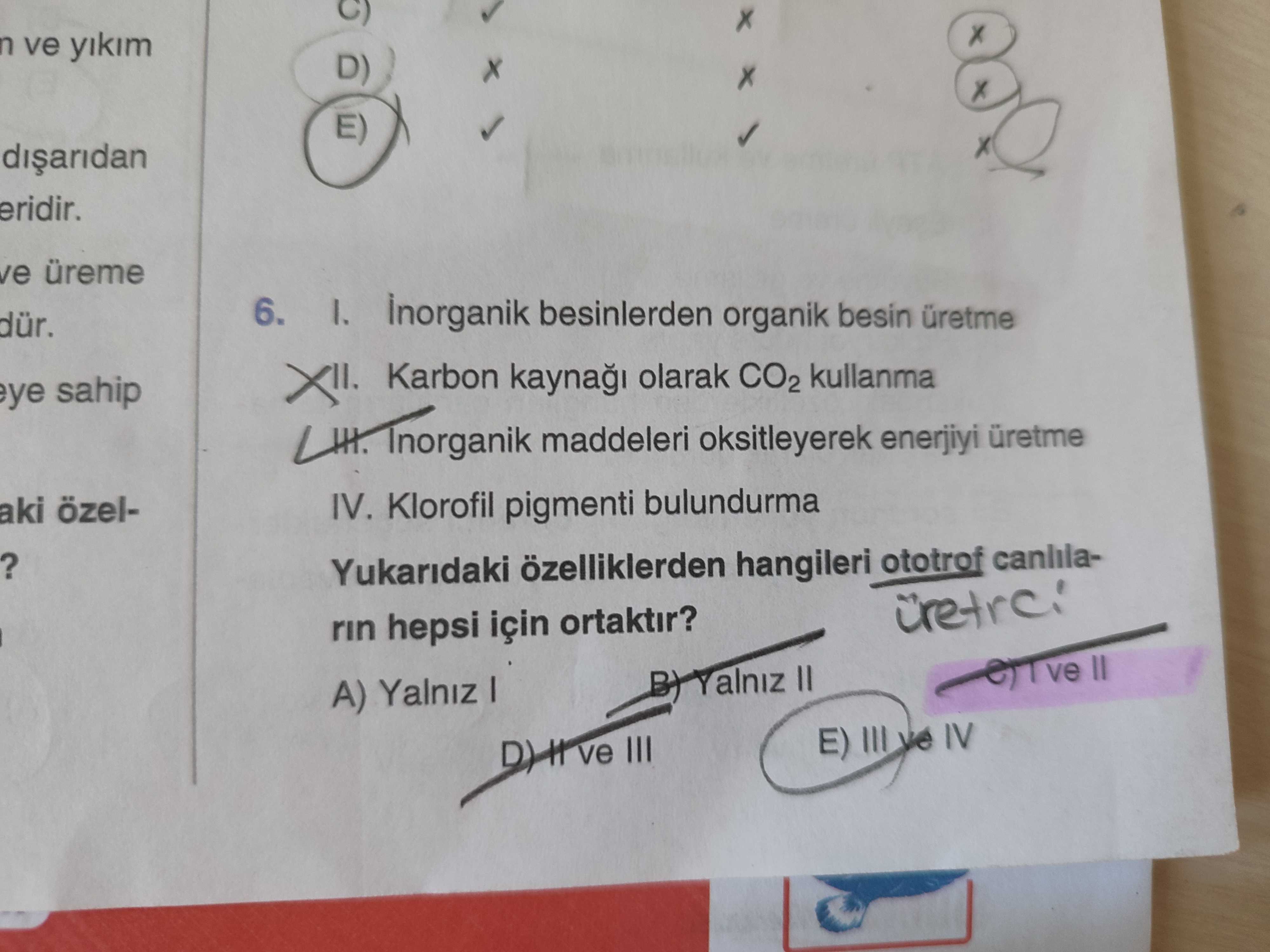 Biyoloji (11. Sınıf)