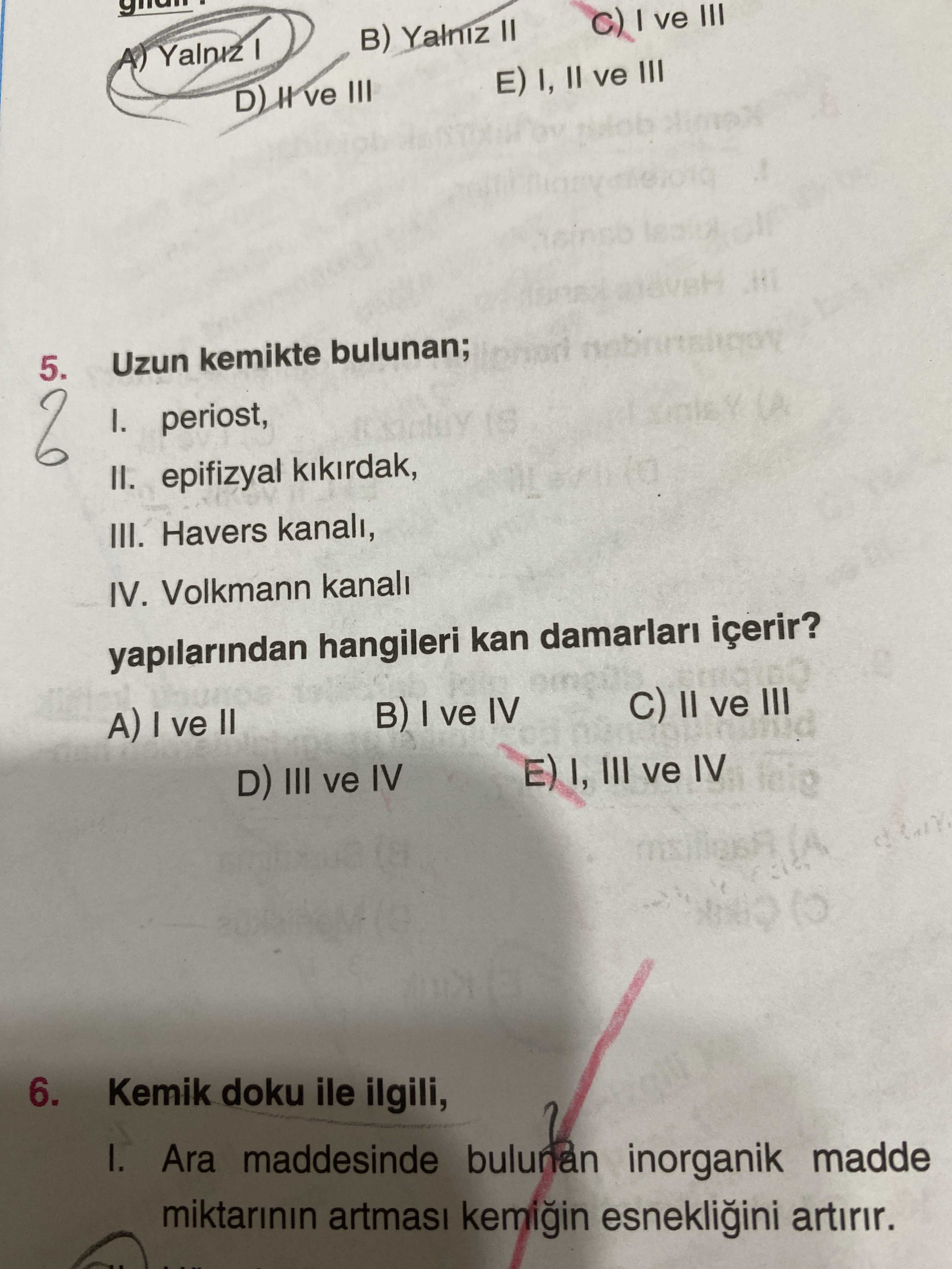 Uzun kemikte bulunan; I. periost, II. epifizyal kıkırdak, III. Havers kanalı, IV. Volkmann kanalı