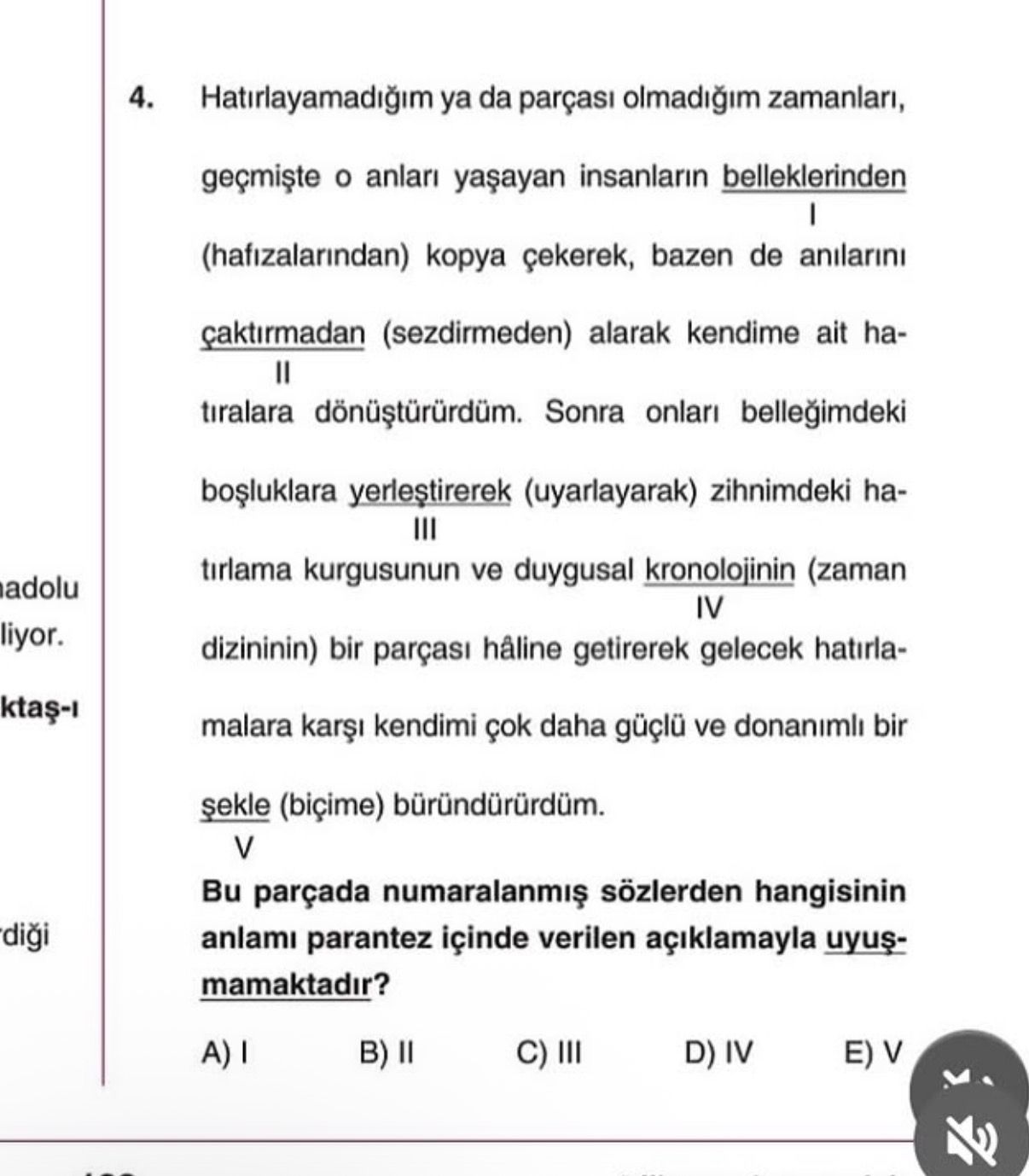 Hatırlayamadığım ya da parçası olmadığım zamanları, geçmişte o anları yaşayan insanların