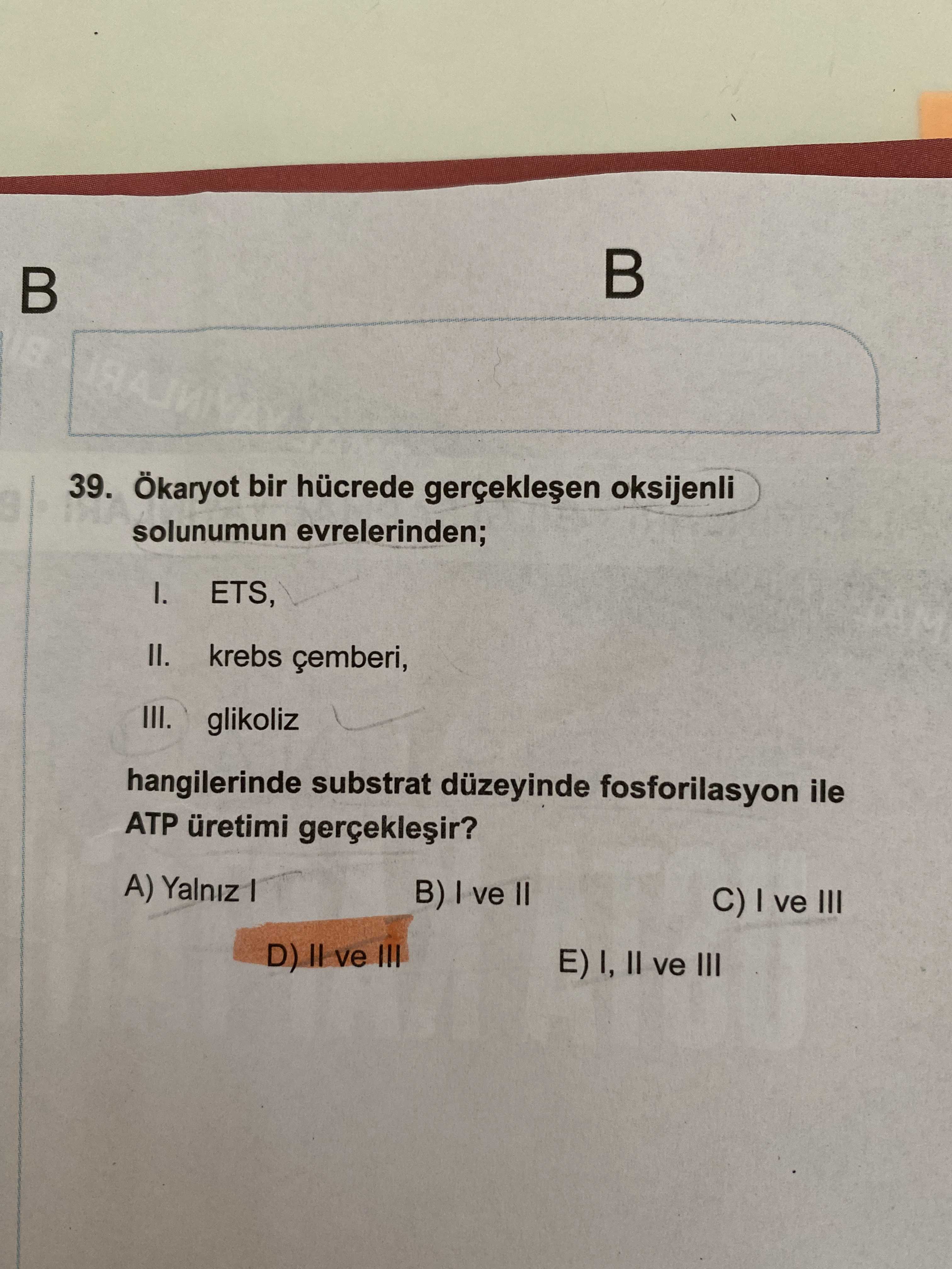 Ökaryot bir hücrede gerçekleşen oksijenli solunumun evrelerinden; I. ETS, II. krebs çemberi, III