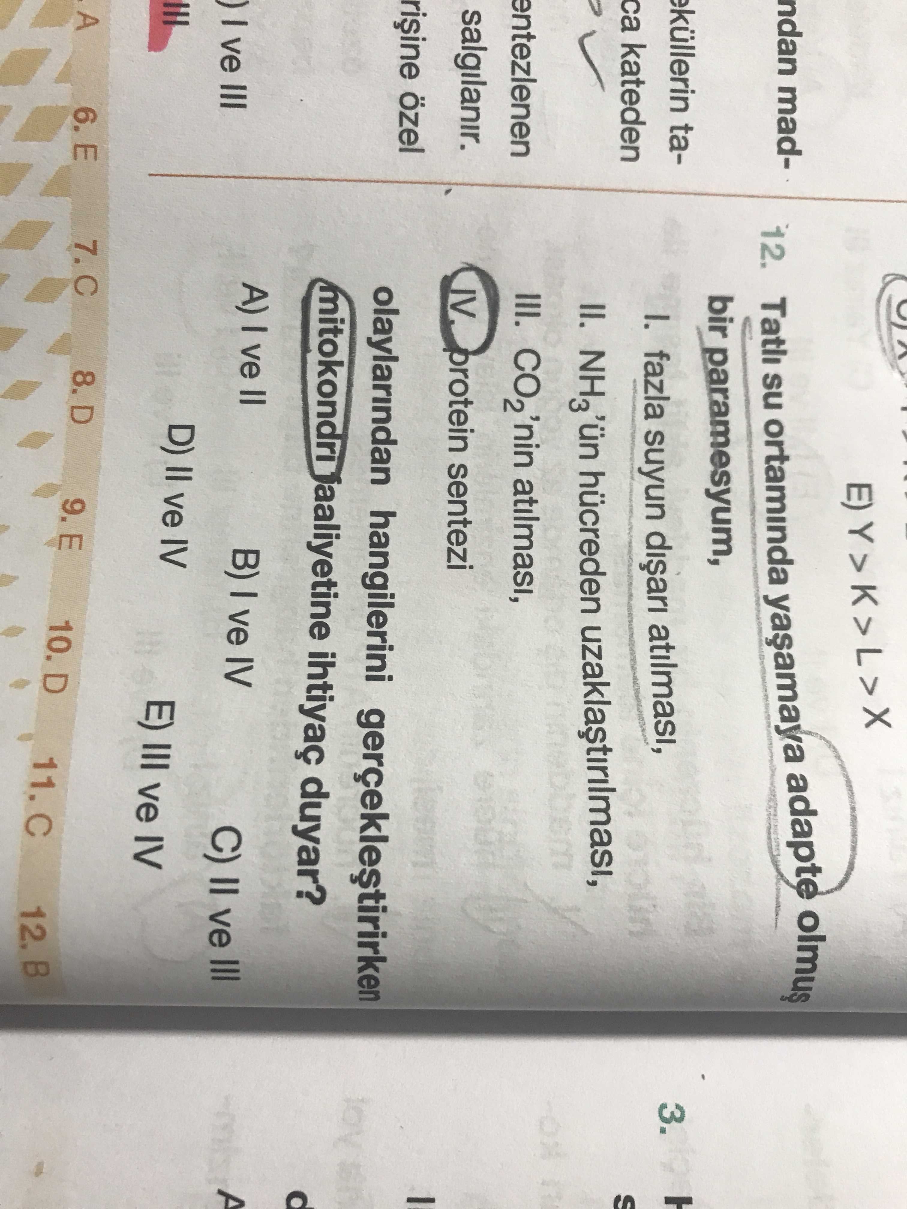 Tatlı su ortamında yaşamaya adapte olmuş bir paramesyum, I. fazla suyun dışarı atılması, II. NH₃'ün