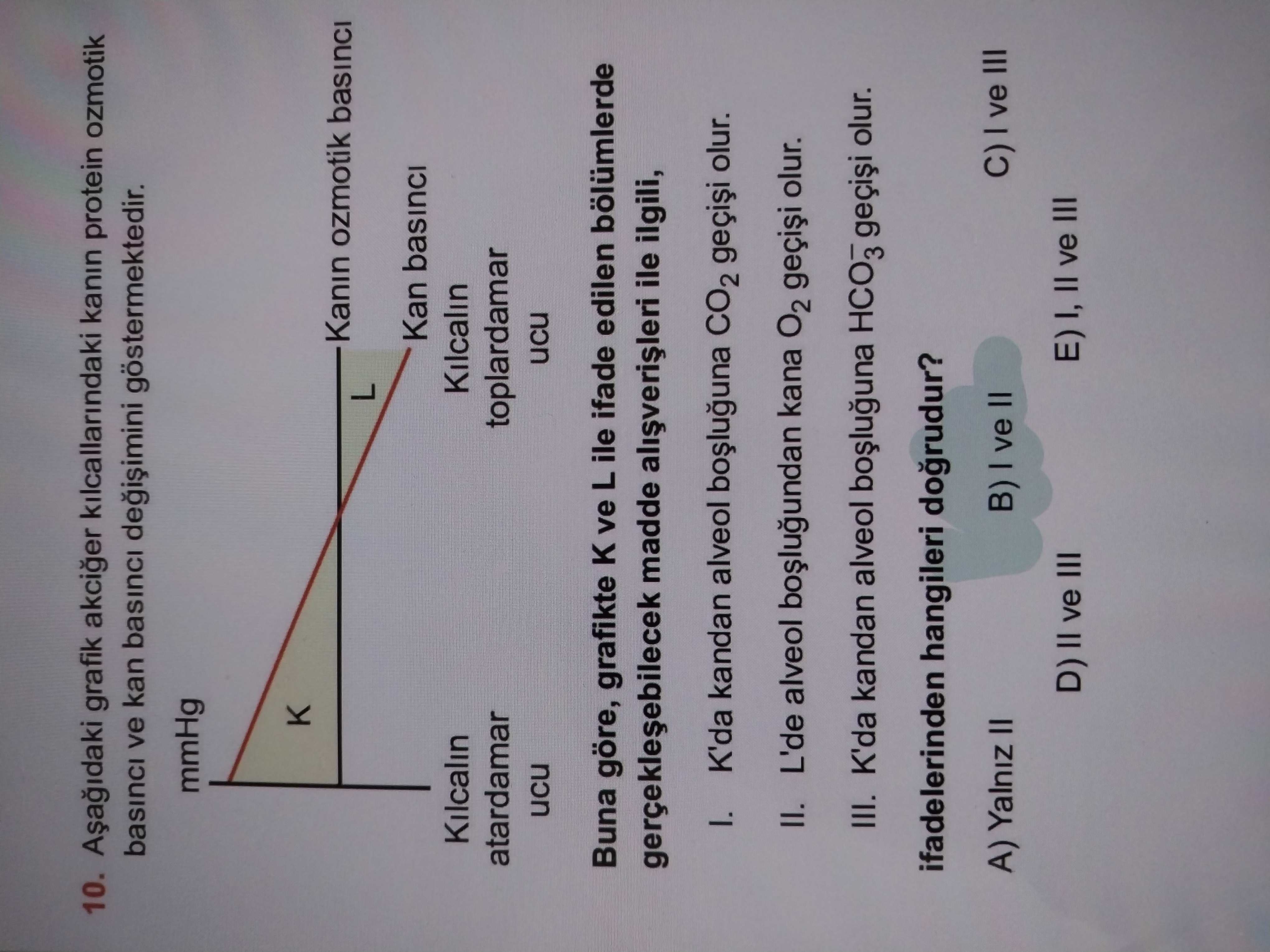 Aşağıdaki grafik akciğer kılcallarındaki kanın protein ozmotik basıncı ve kan basıncı değişimini