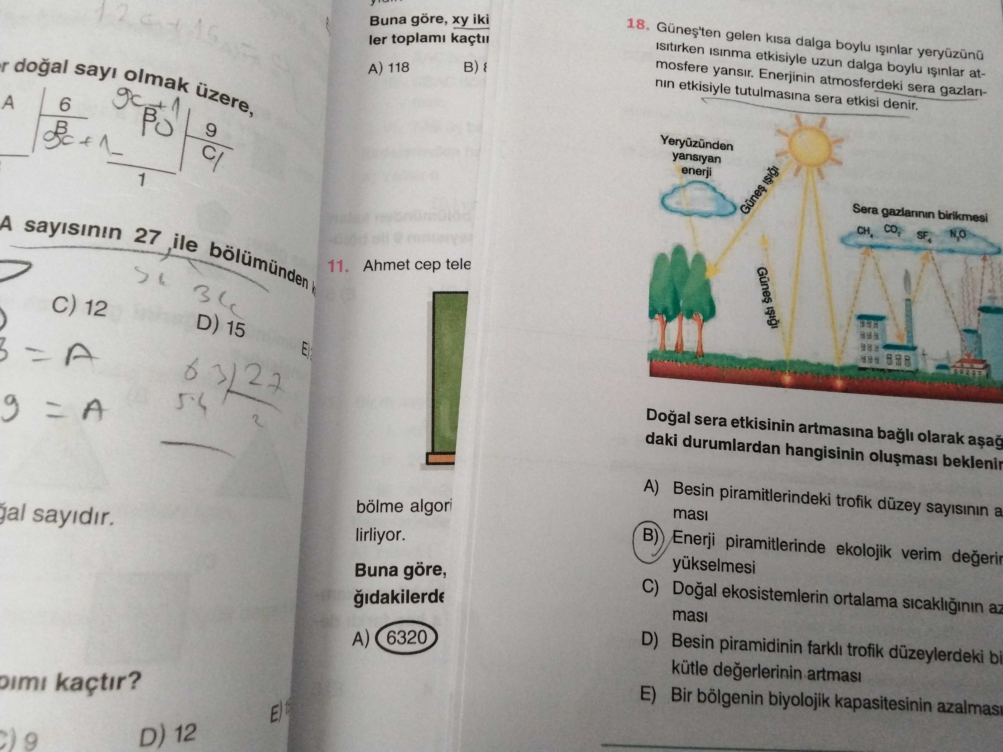 Biyoloji (11. Sınıf)