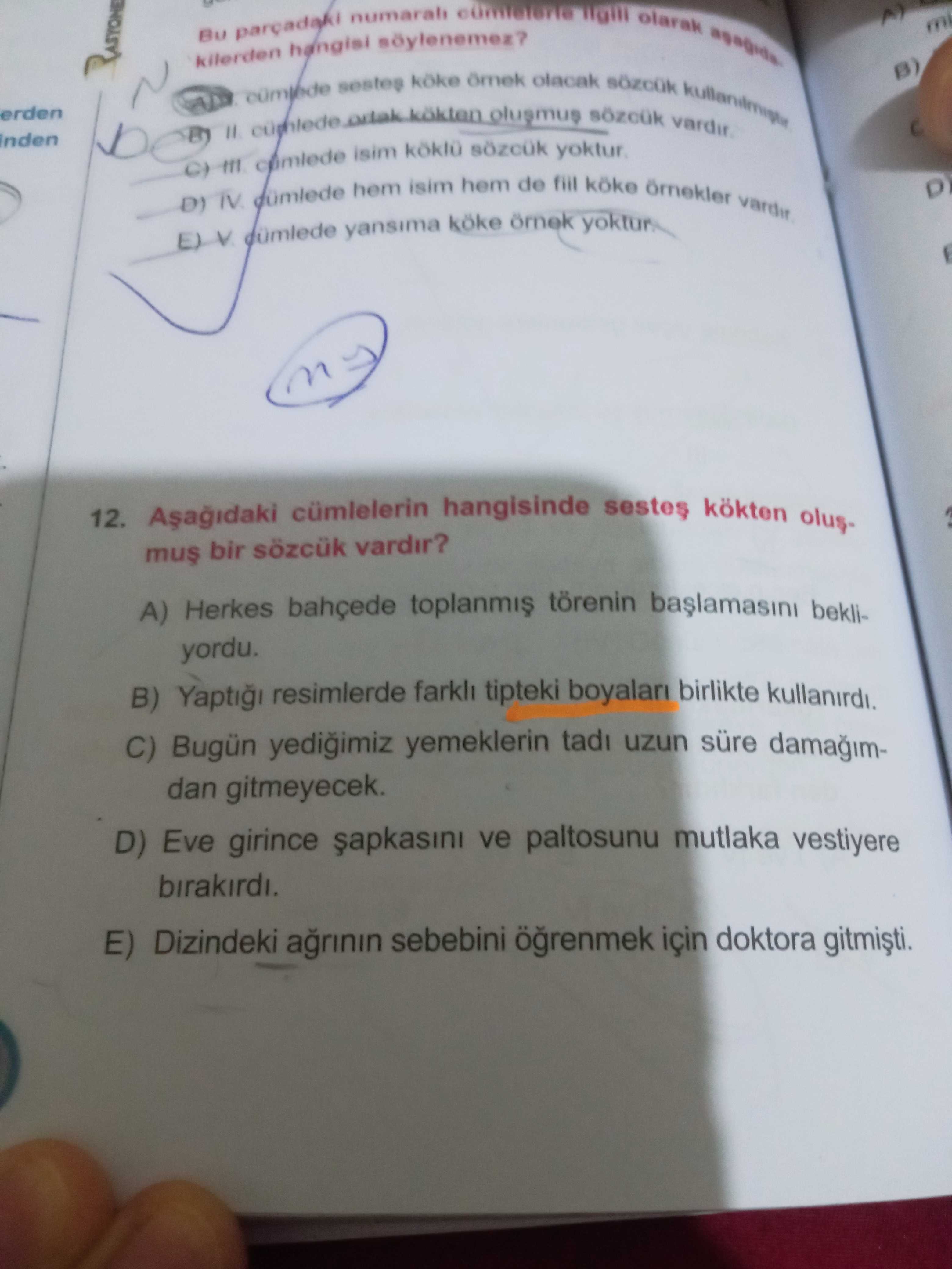 Türkçe (Mezun)