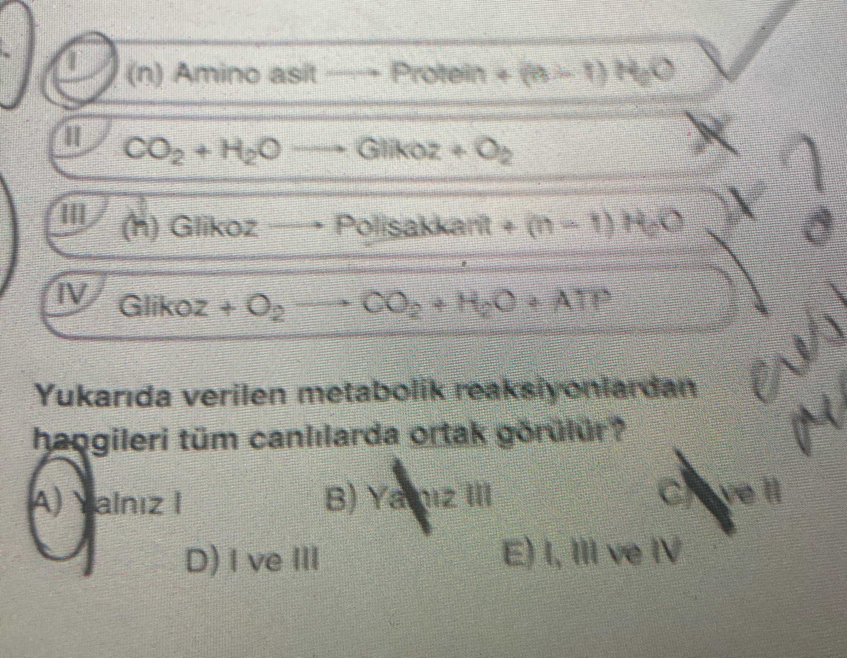 I) Amino asit + Protein = (G...) ATP II) CO₂ + H₂O + Glikoz + O₂ III) (6) Glikoz + Organik = (I) ATP