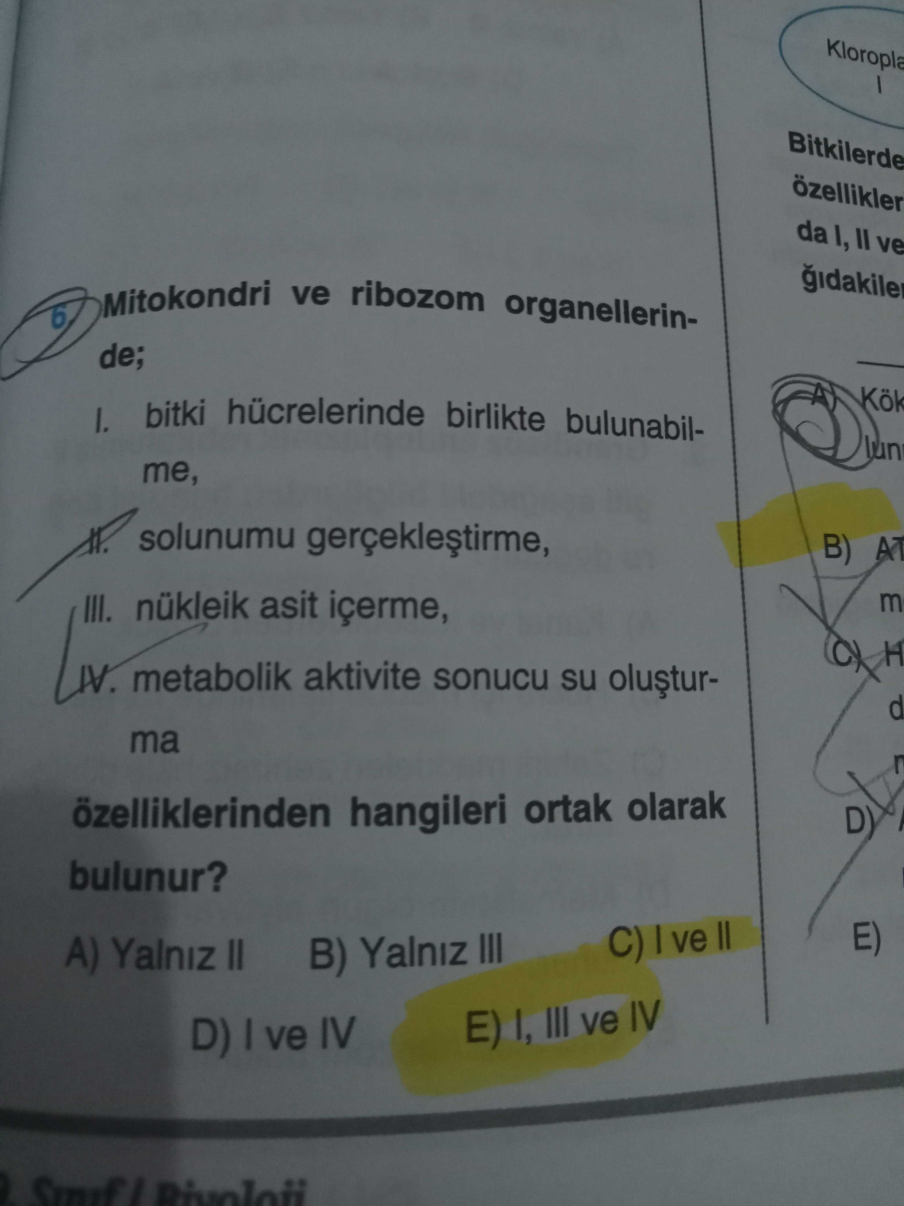 Biyoloji (12. Sınıf)