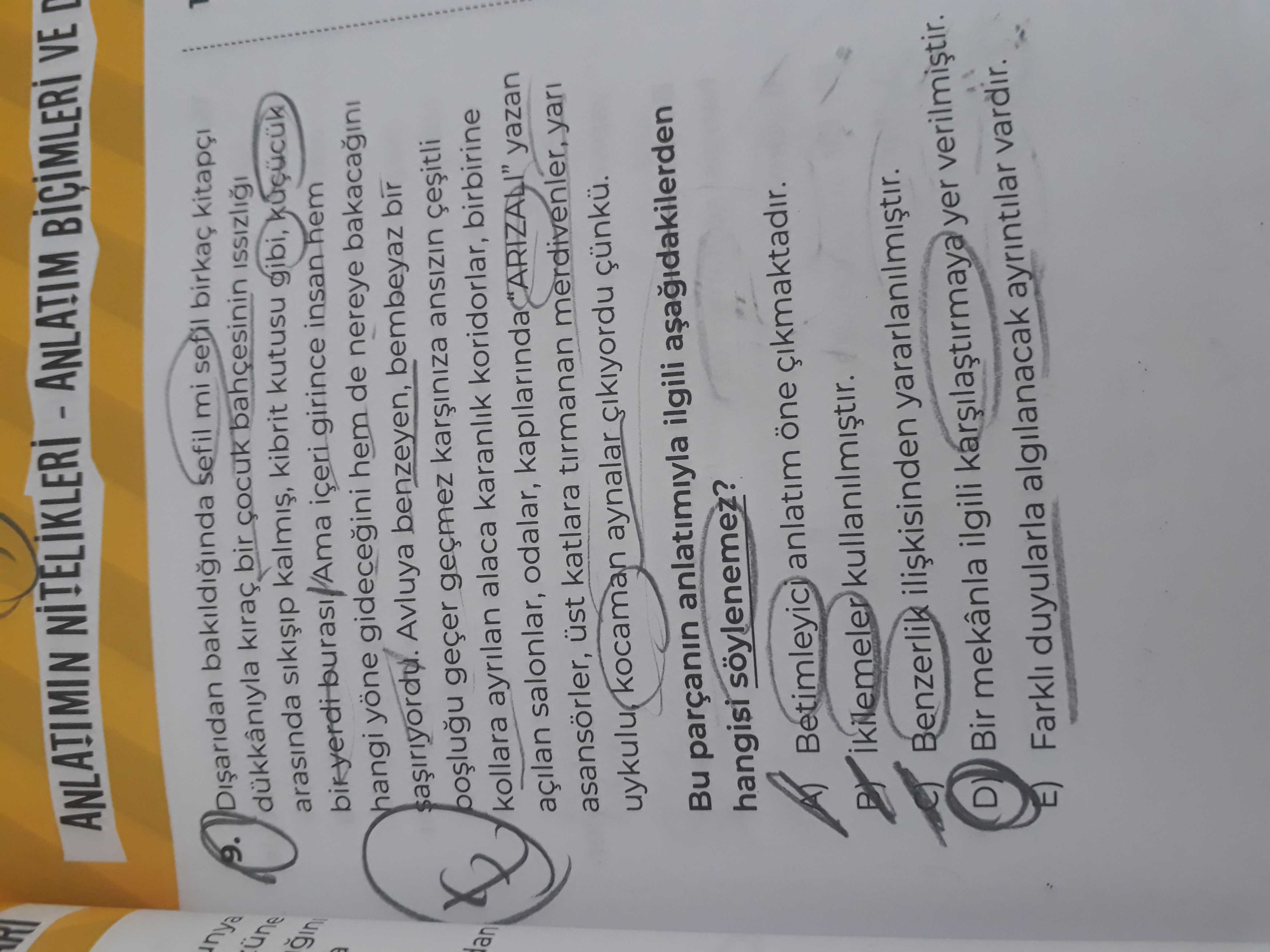 Türk Dili ve Edebiyatı  (11. Sınıf)