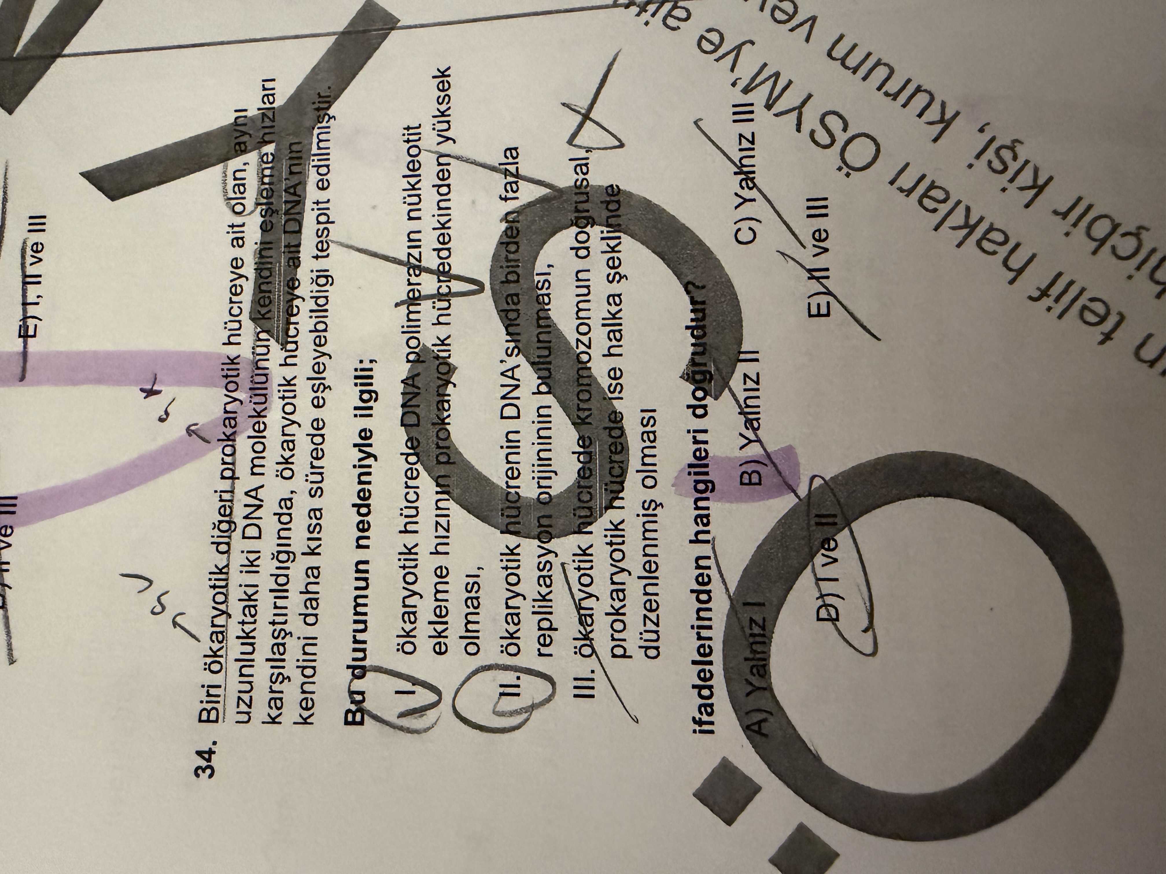 Biri ökaryotik diğeri prokaryotik hücreye ait olan, aynı uzunluktaki iki DNA molekülünün kendini
