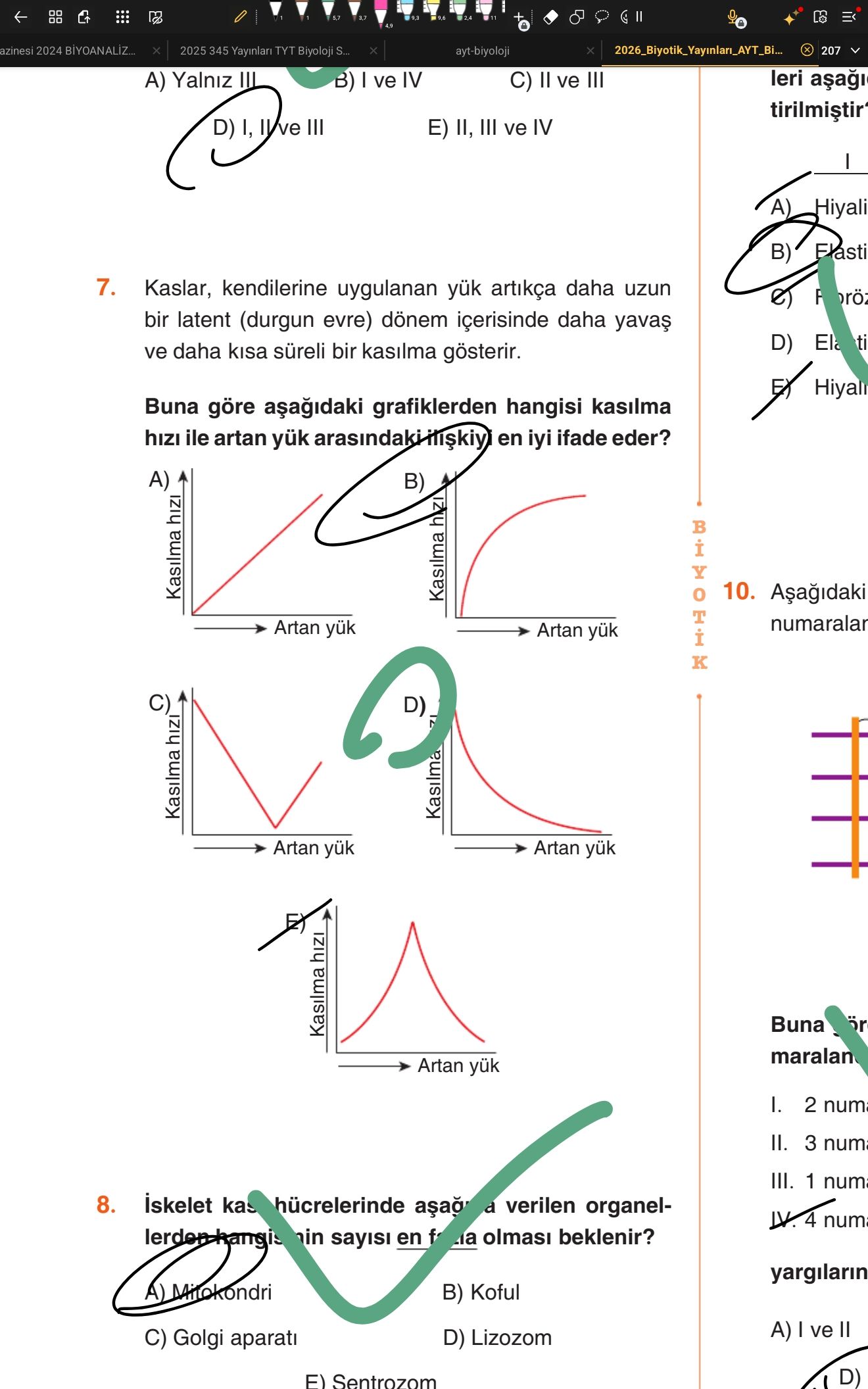 Kaslar, kendilerine uygulanan yük arttıkça daha uzun bir latent (durgun evre) dönem içerisinde daha