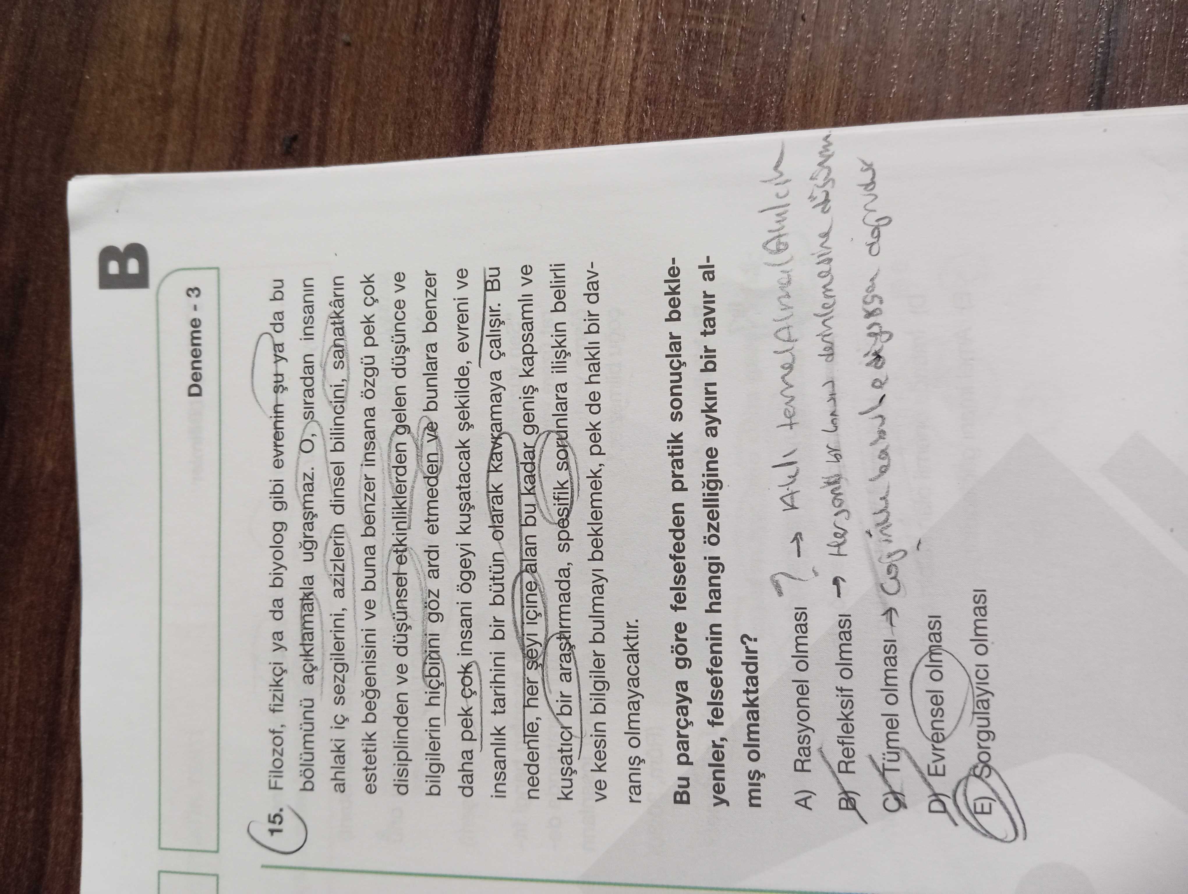 Felsefe (12. Sınıf)