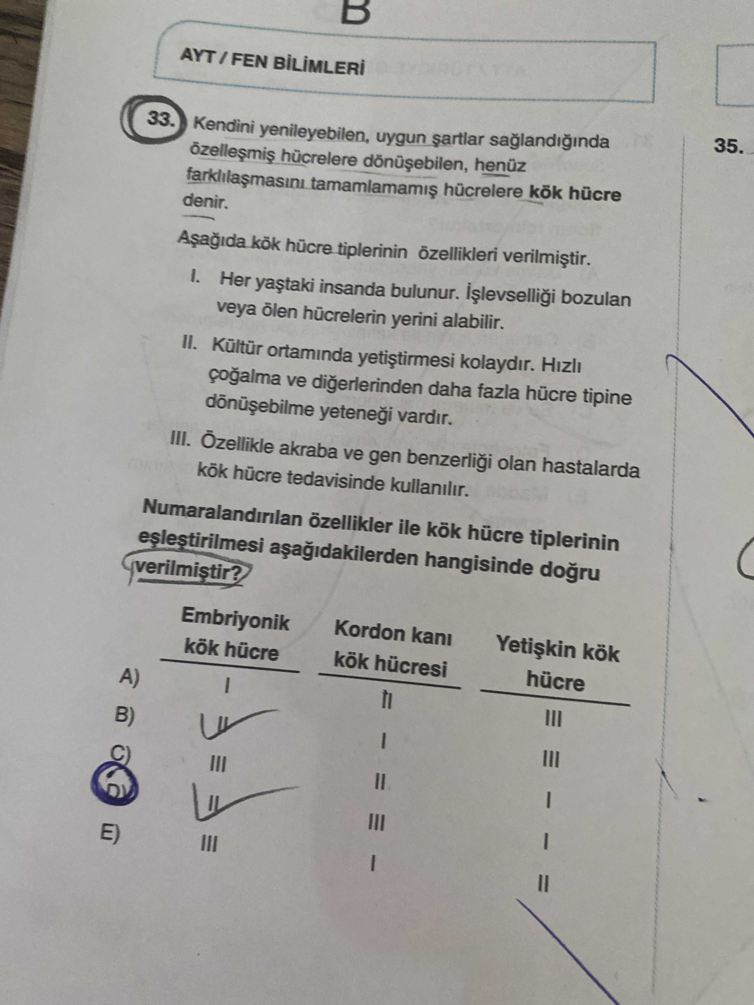 Kendini yenileyebilen, uygun şartlar sağlandığında özelleşmiş hücrelere dönüşebilen, henüz