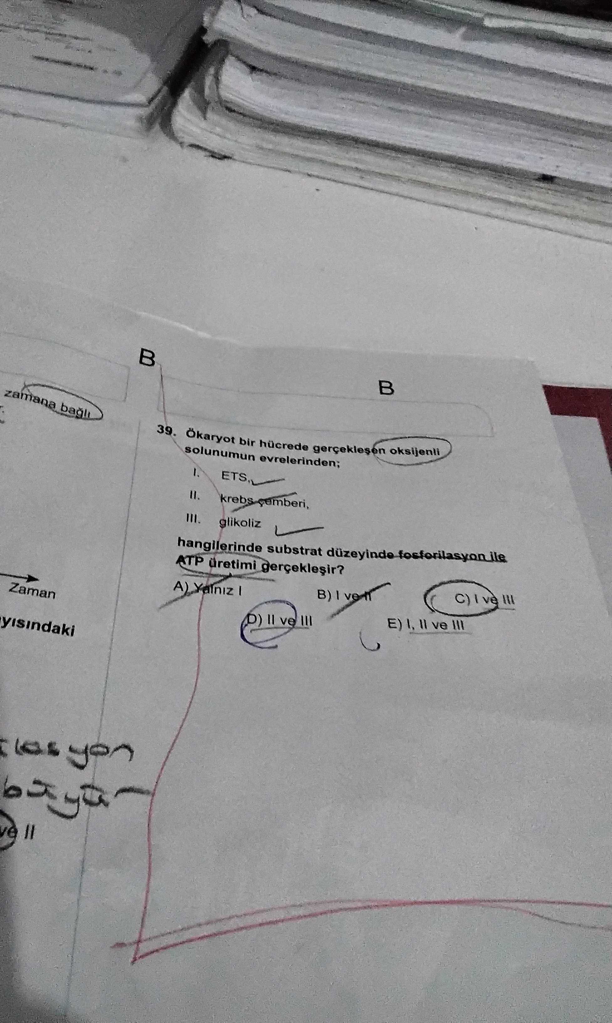 Ökaryot bir hücrede gerçekleşen oksijenli solunumun evrelerinden; I. ETS, II. krebs çemberi, III