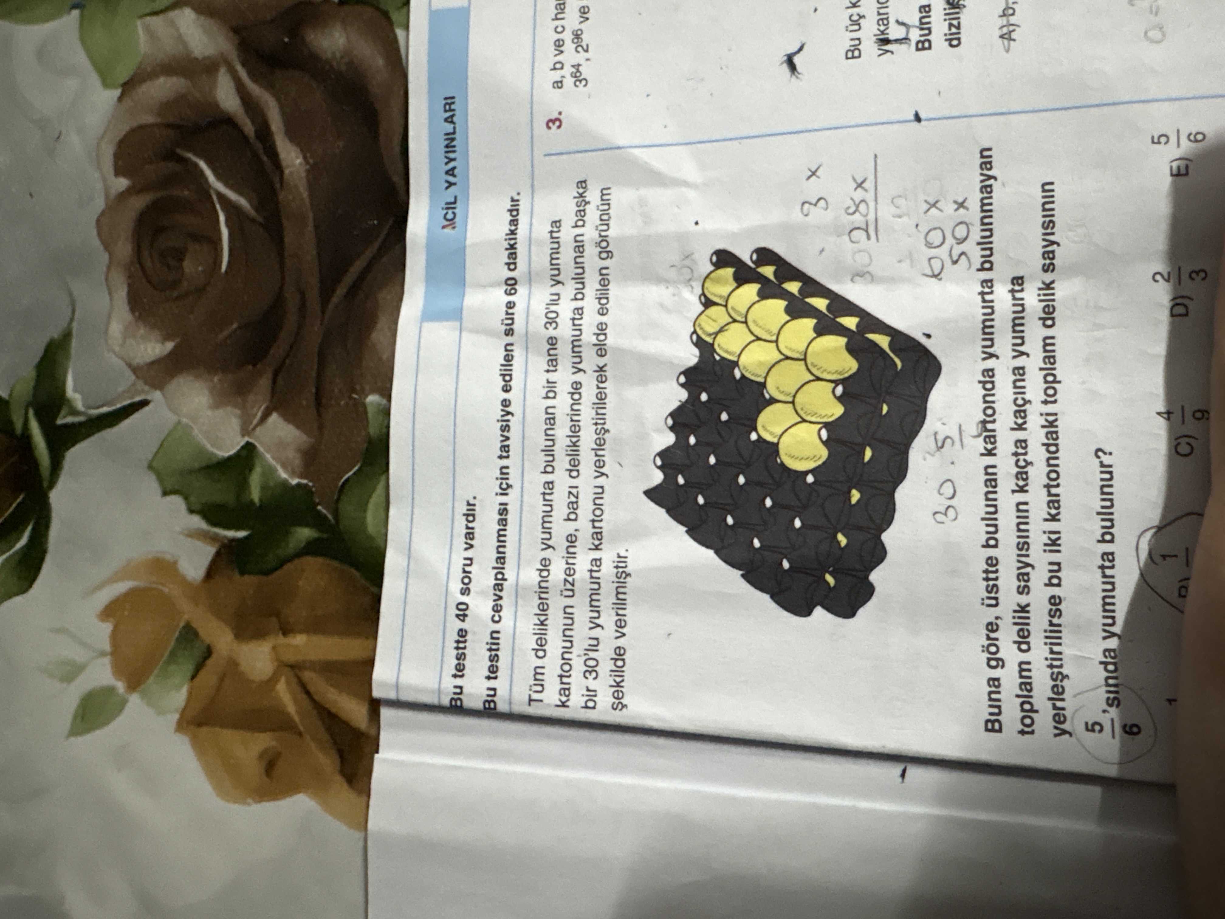 Matematik (12. Sınıf)