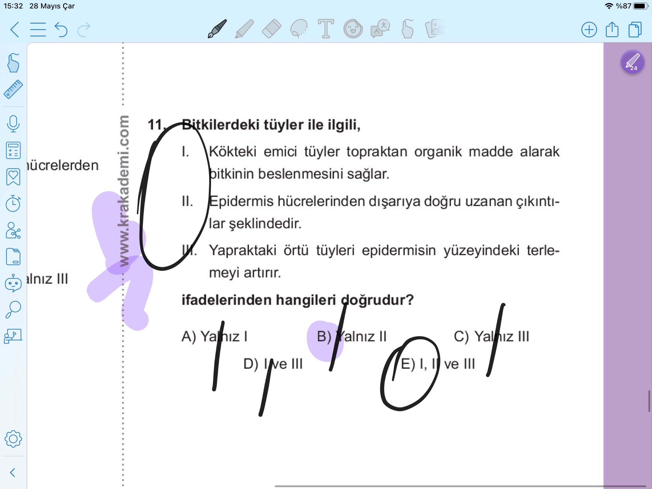 11- Bitkilerdeki tüyler ile ilgili, I. Kökteki emici tüyler topraktan organik madde alarak bitkinin beslenmesini sağlar. II