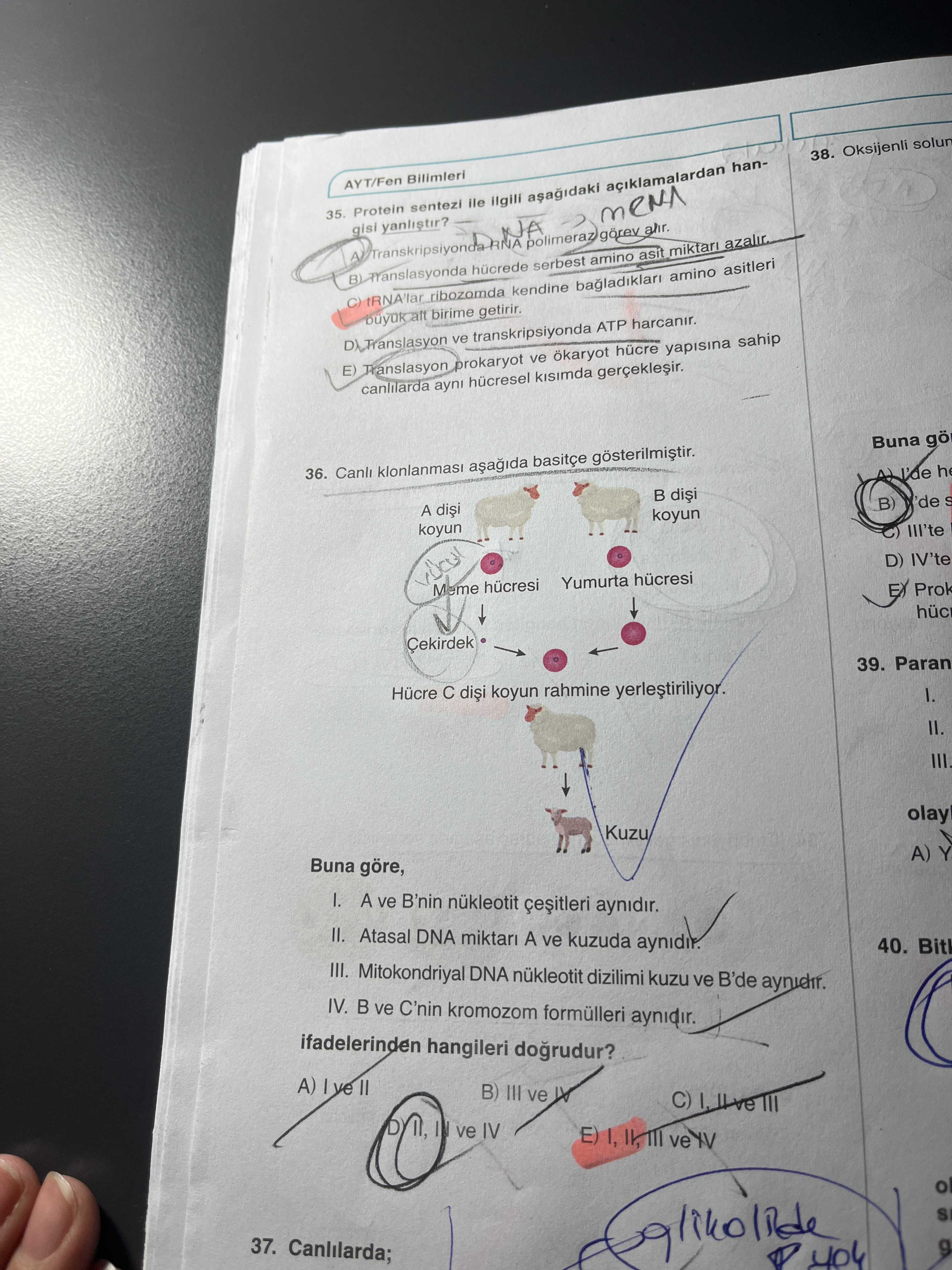 Protein sentezi ile ilgili aşağıdaki açıklamalardan hangisi yanlıştır?