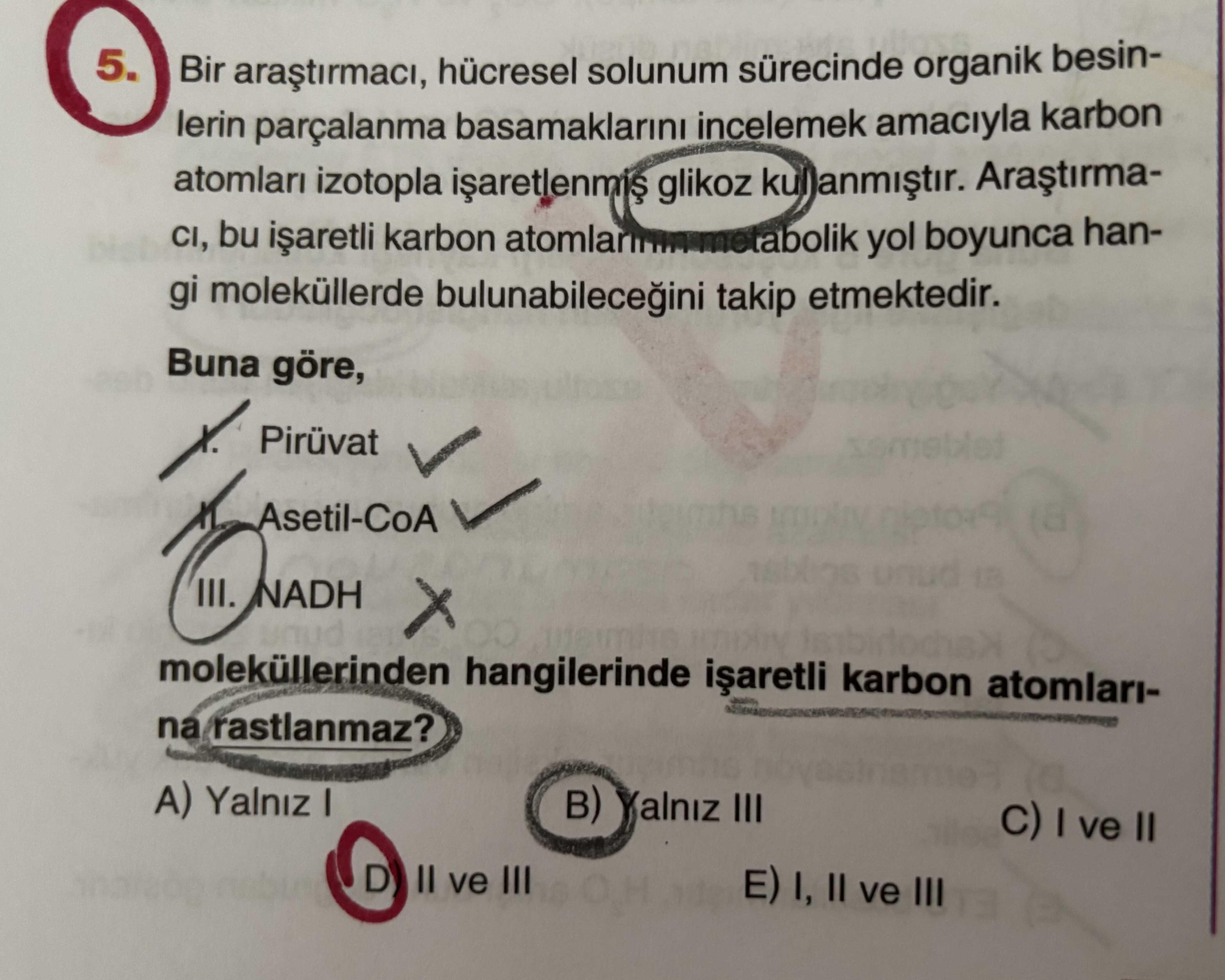 Bir araştırmacı, hücresel solunum sürecinde organik besinlerin parçalanma basamaklarını incelemek