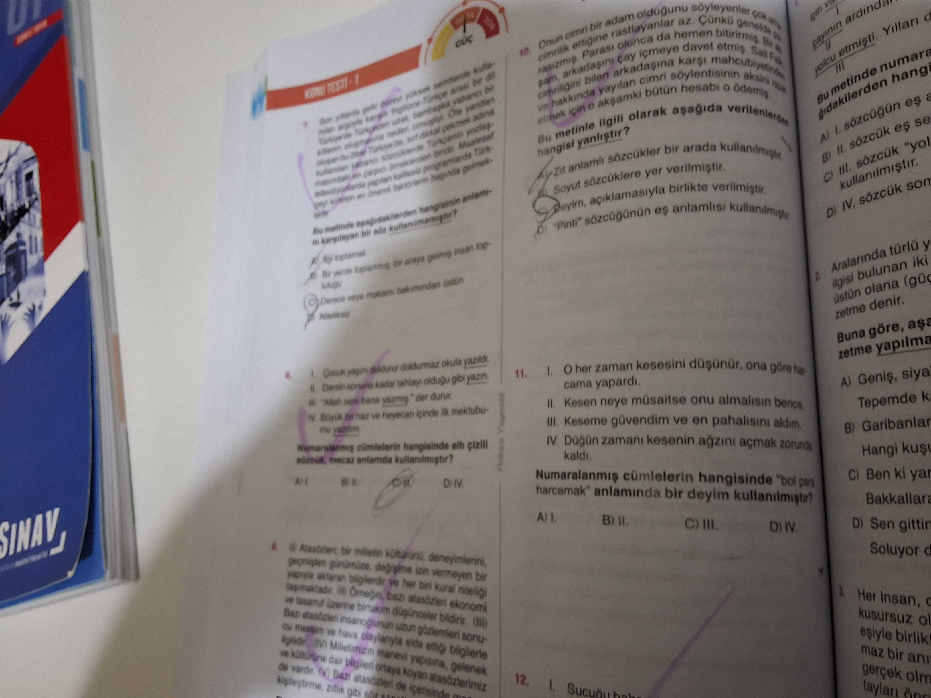 Türkçe (8. Sınıf)