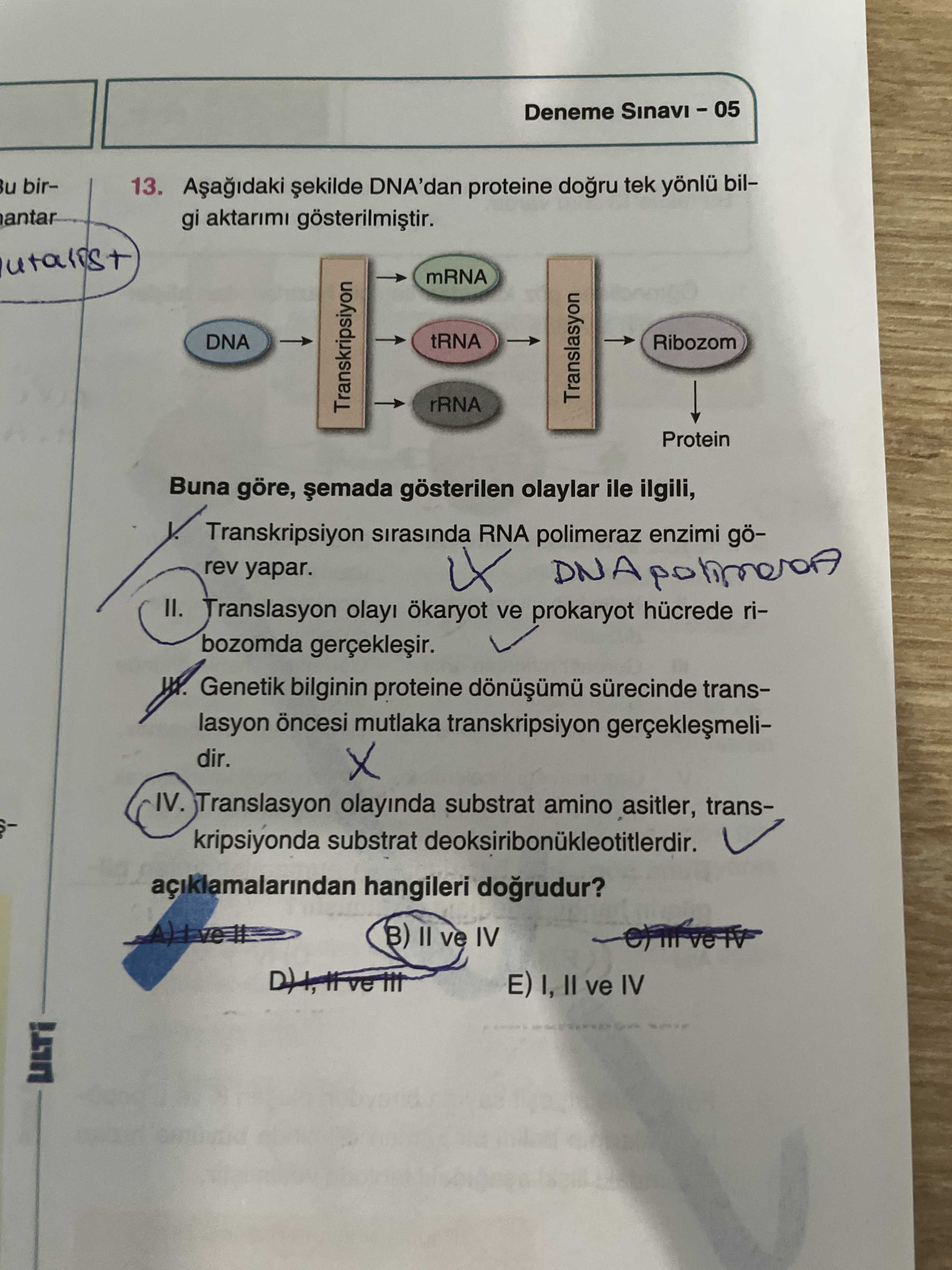 Aşağıdaki şekilde DNA'dan proteine doğru tek yönlü bilgi aktarımı gösterilmiştir. Buna göre, şemada