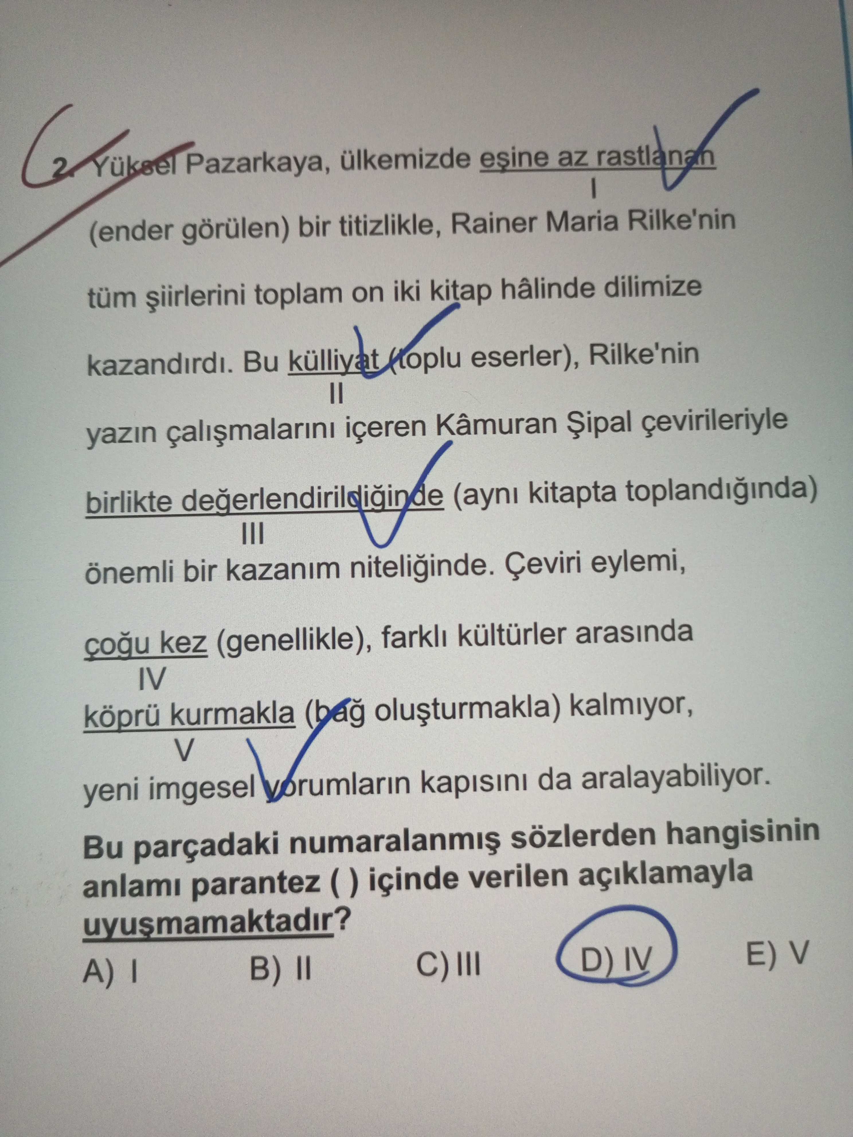 Yüksel Pazarkaya, ülkemizde eşine az rastlanan I (ender görülen) bir titizlikle, Rainer Maria