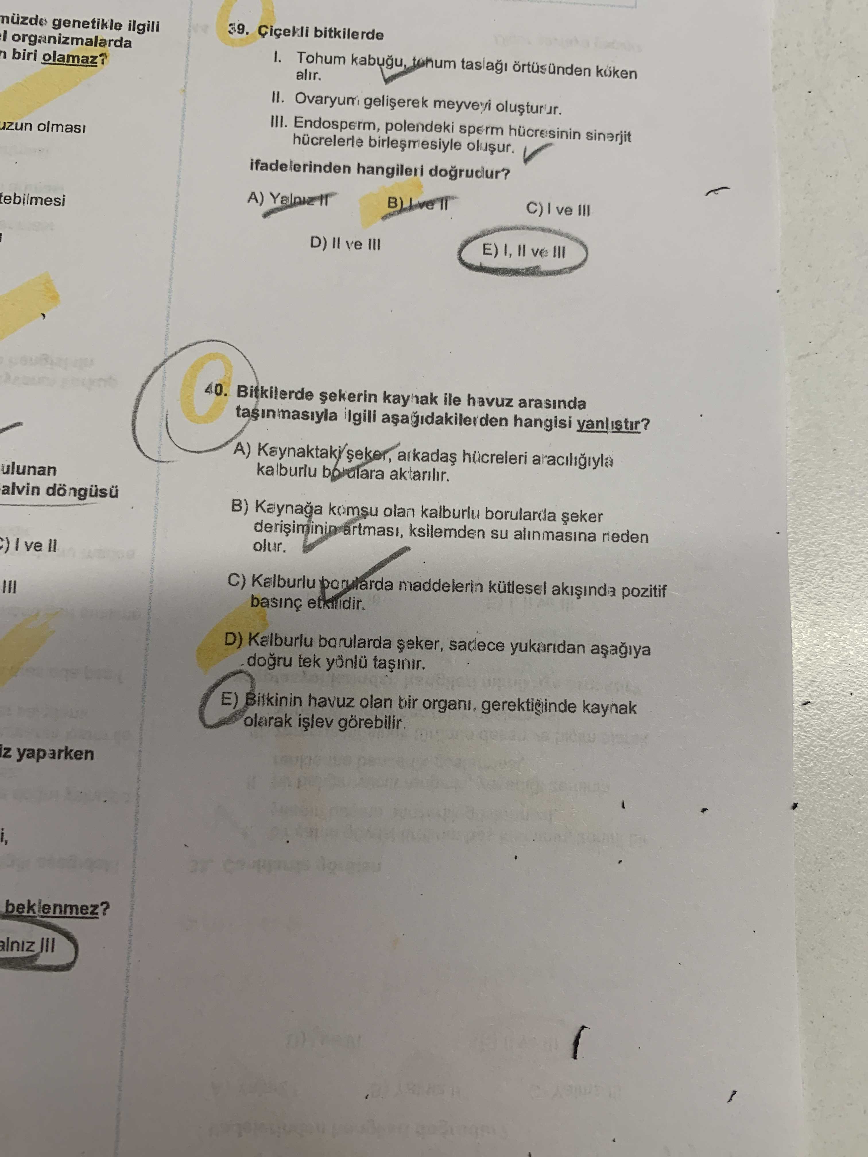 Çiçekli bitkilerde I. Tohum kabuğu, tohum taslağı örtüsünden köken alır. II. Ovaryum gelişerek