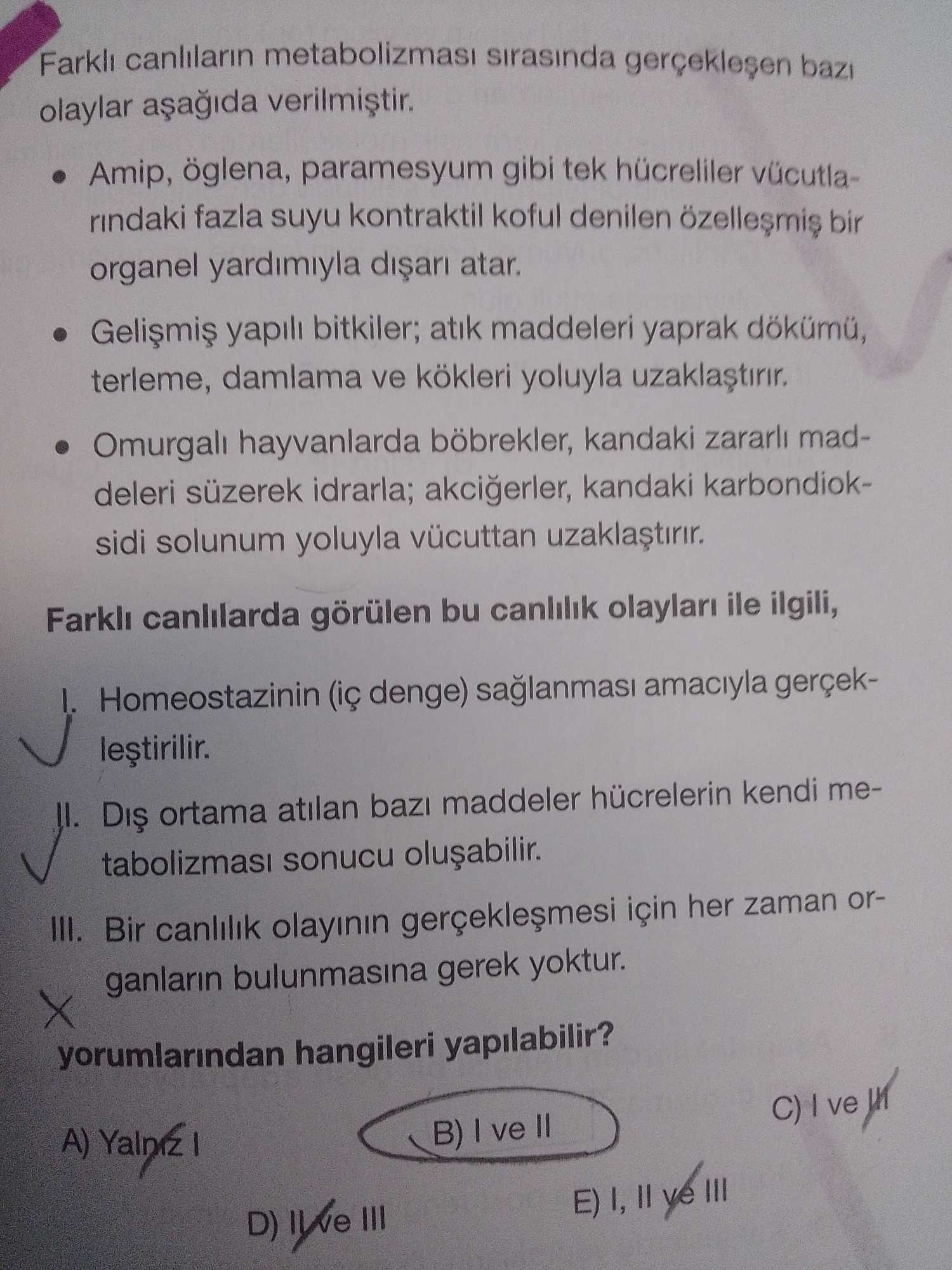 Farklı canlıların metabolizması sırasında gerçekleşen bazı olaylar aşağıda verilmiştir. • Amip