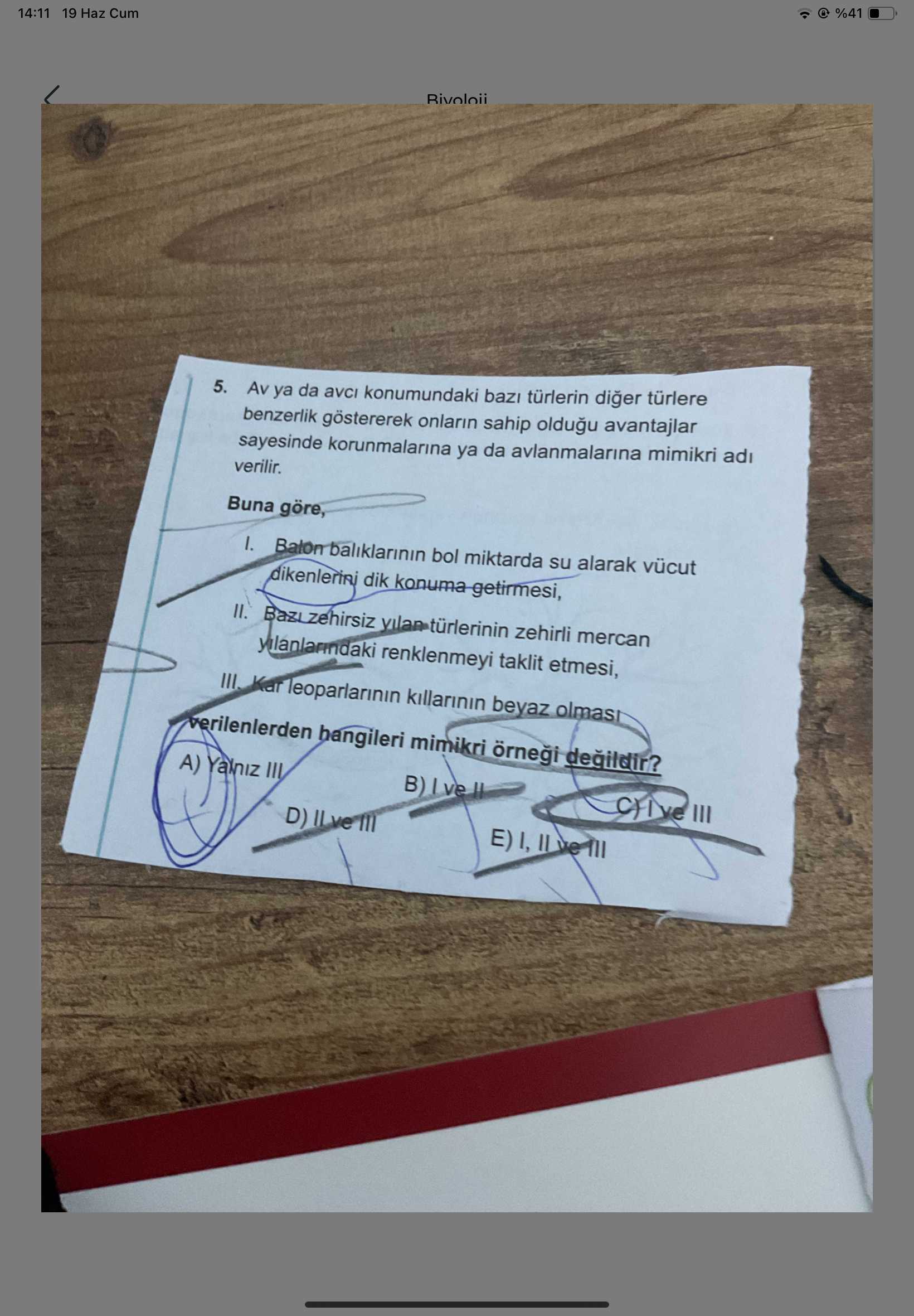 Av ya da avcı konumundaki bazı türlerin diğer türlere benzerlik göstererek onların sahip olduğu
