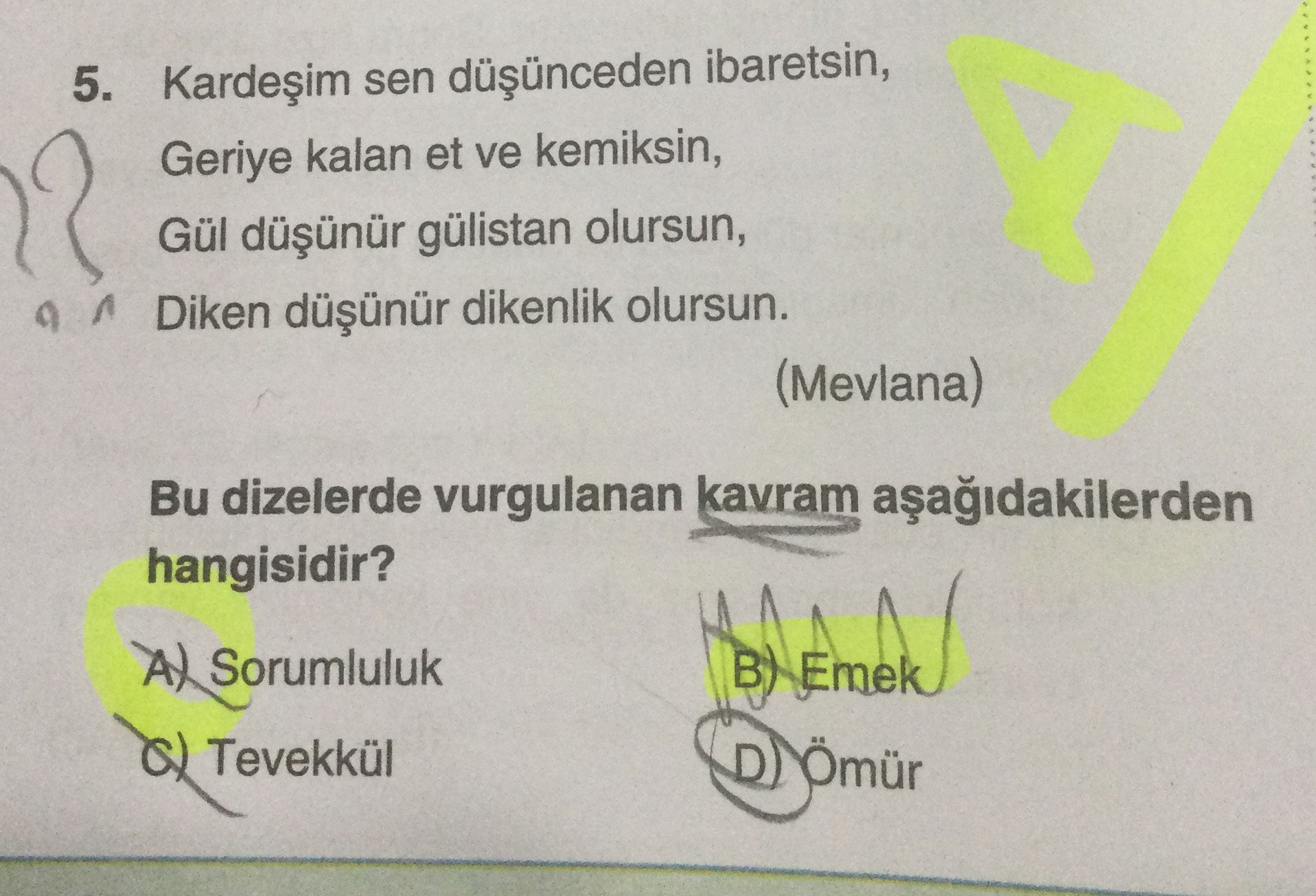 Kardeşim sen düşünceden ibaretsin, Geriye kalan et ve kemiksin, Gül düşünür gülistan olursun, Diken