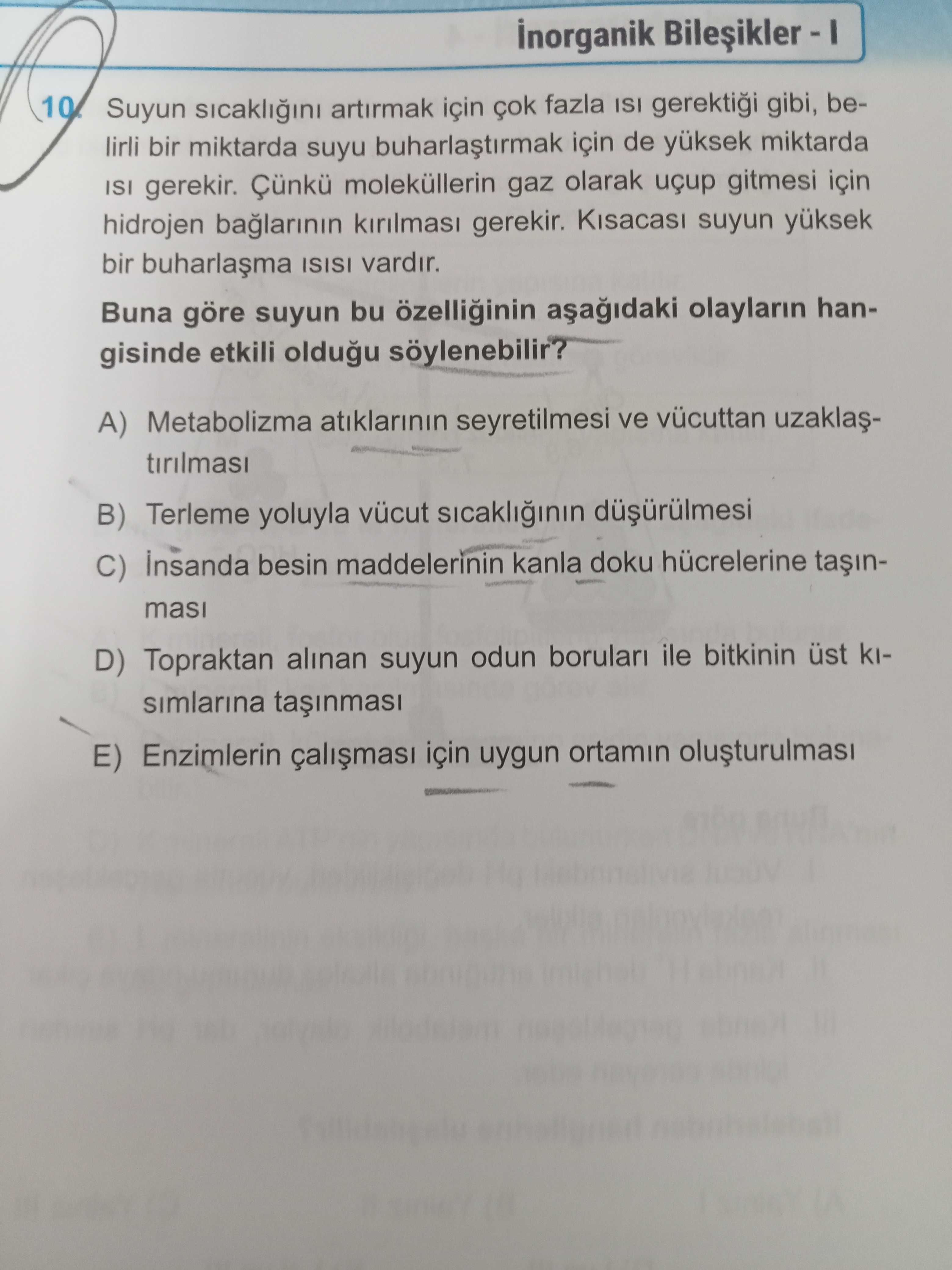 Biyoloji (11. Sınıf)