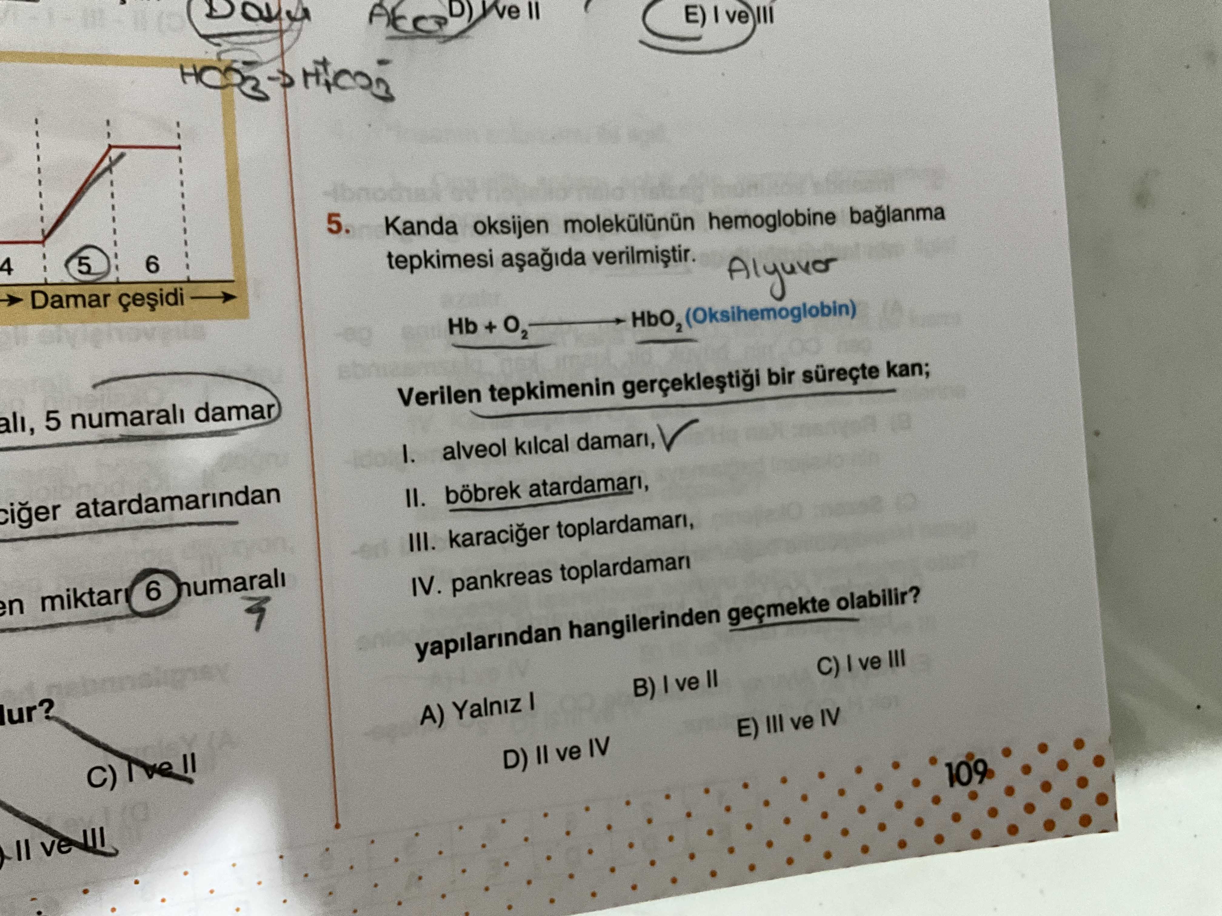 Kanda oksijen molekülünün hemoglobine bağlanma tepkimesi aşağıda verilmiştir. Hb + O₂ ——→ HbO₂