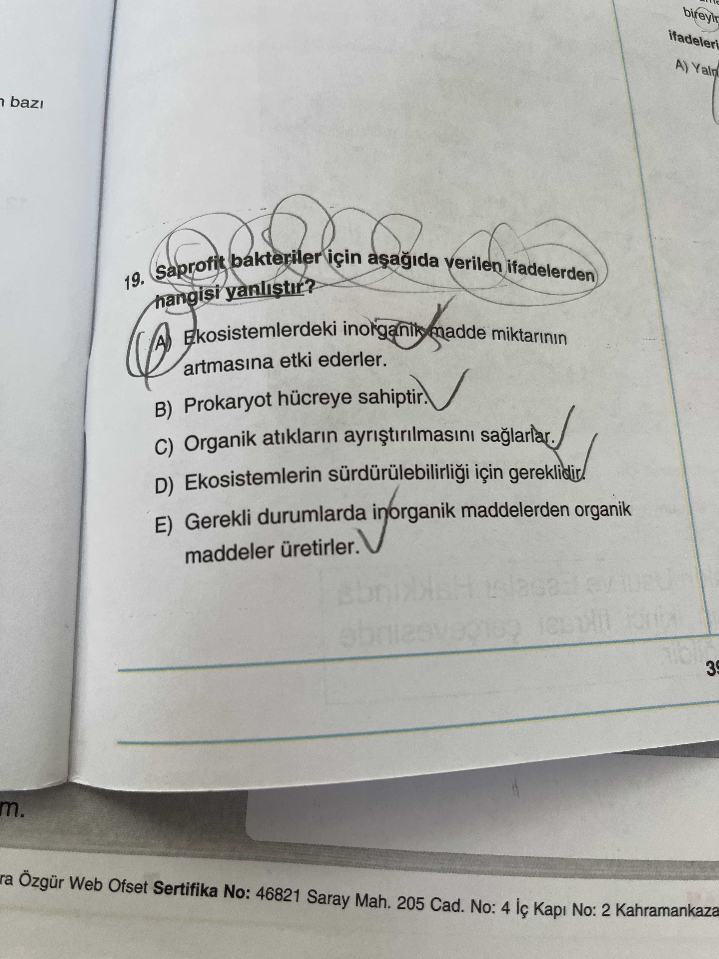 Saprofit bakteriler için aşağıda verilen ifadelerden hangisi yanlıştır?